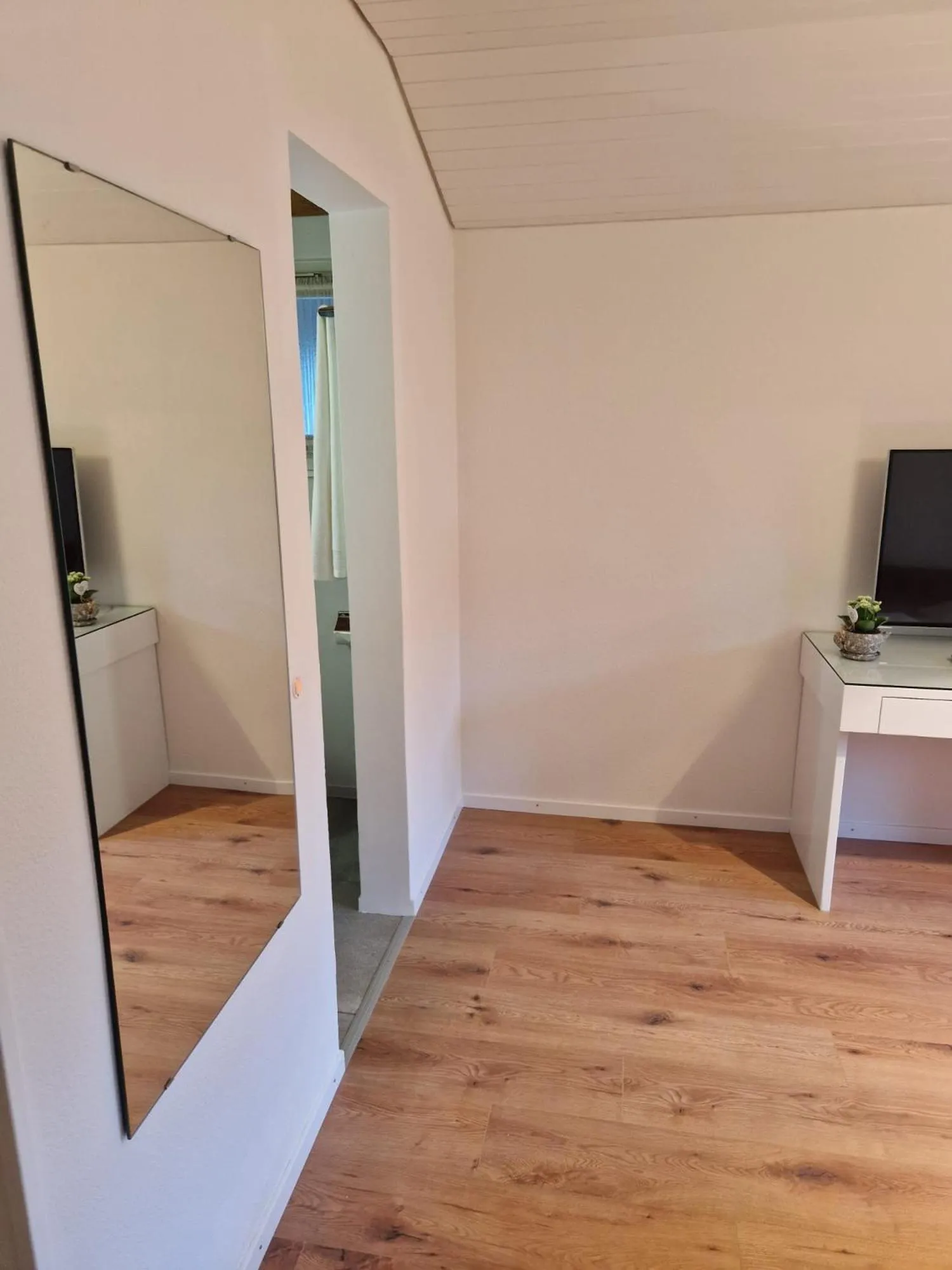 TV and multimedia in Hotel Chalet Bellerive