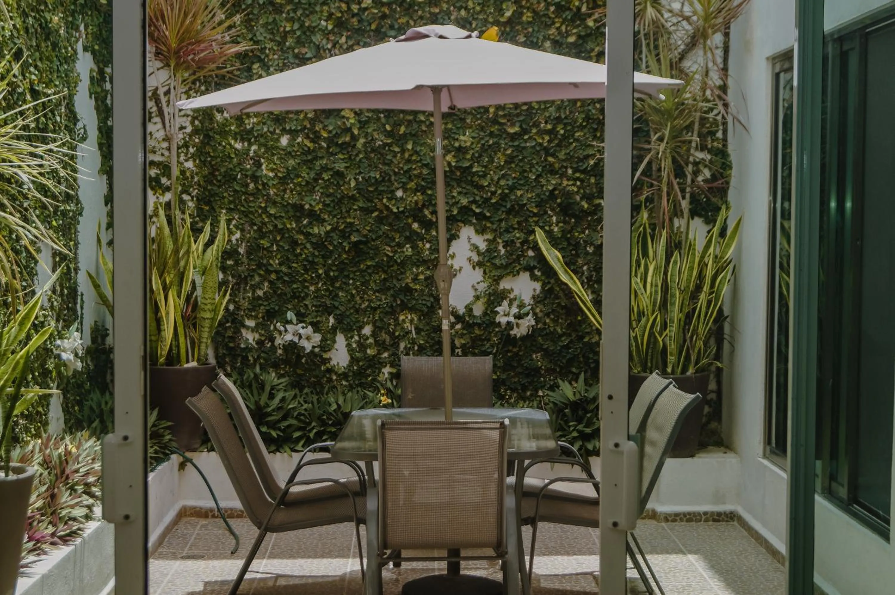 Balcony/Terrace in Hotel Malecón