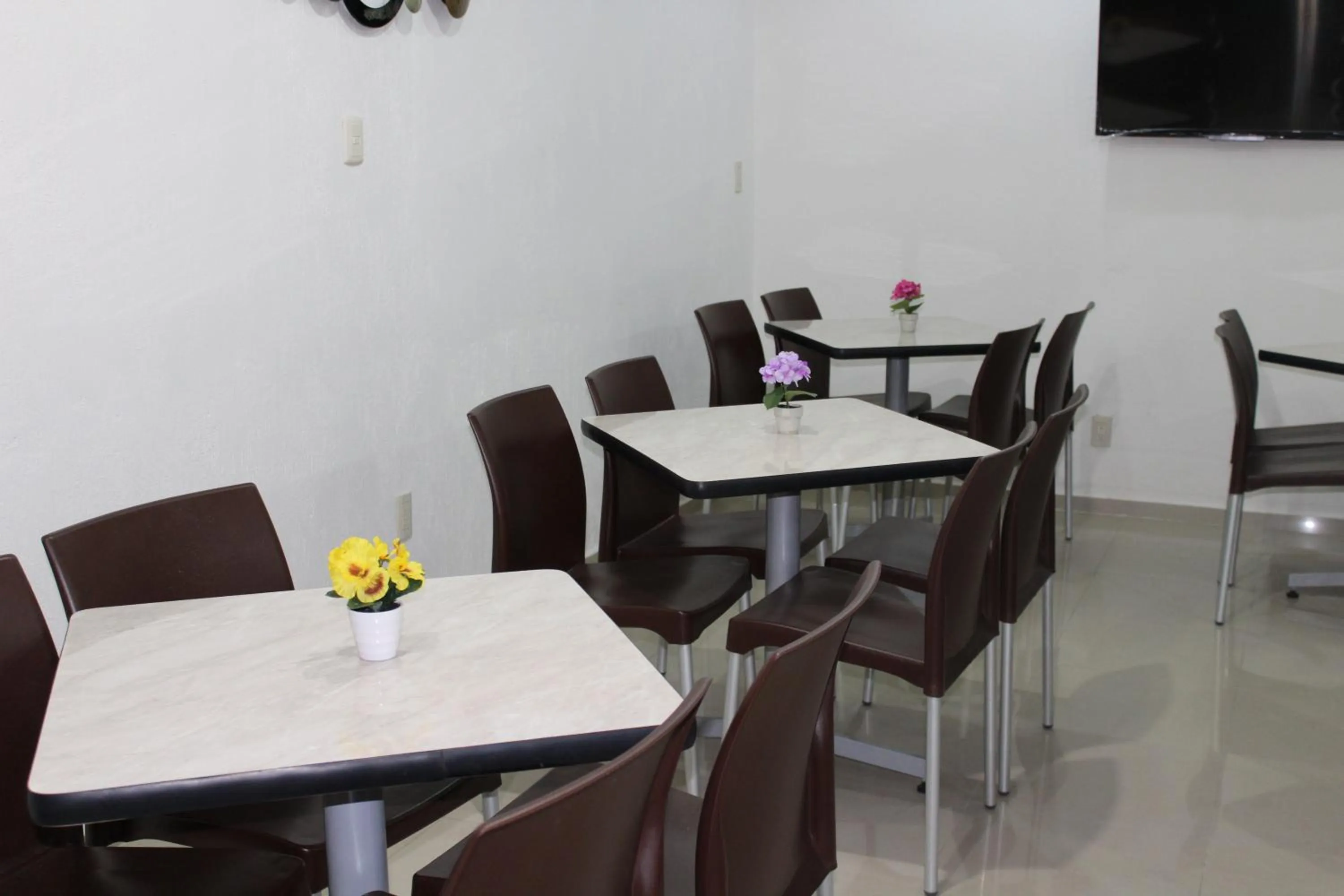 Restaurant/places to eat in Hotel Malecón