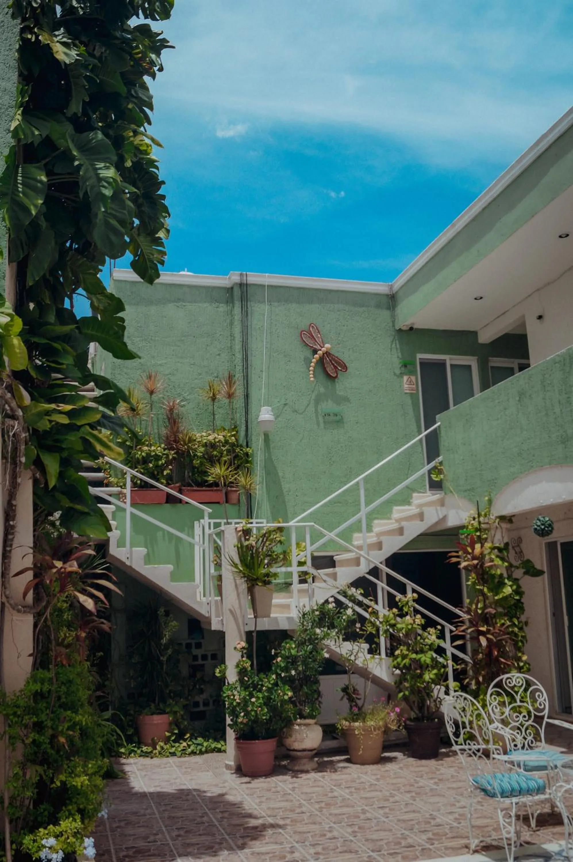 Patio in Hotel Malecón