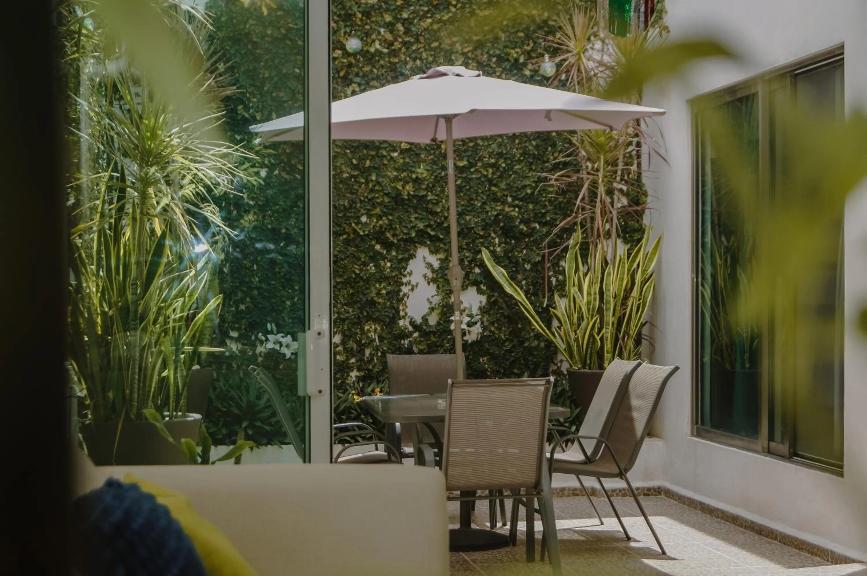 Balcony/Terrace in Hotel Malecón