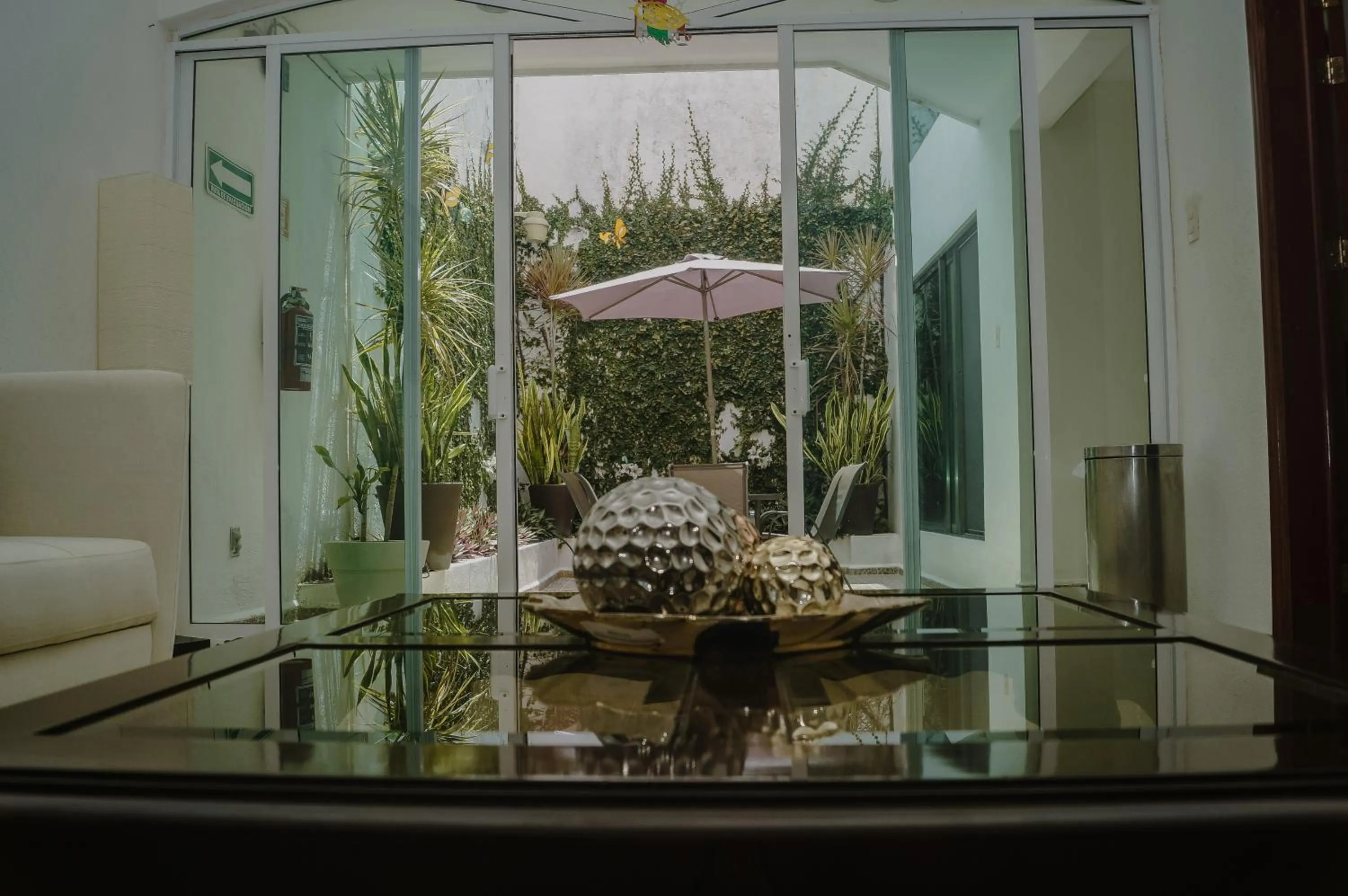 Area and facilities in Hotel Malecón