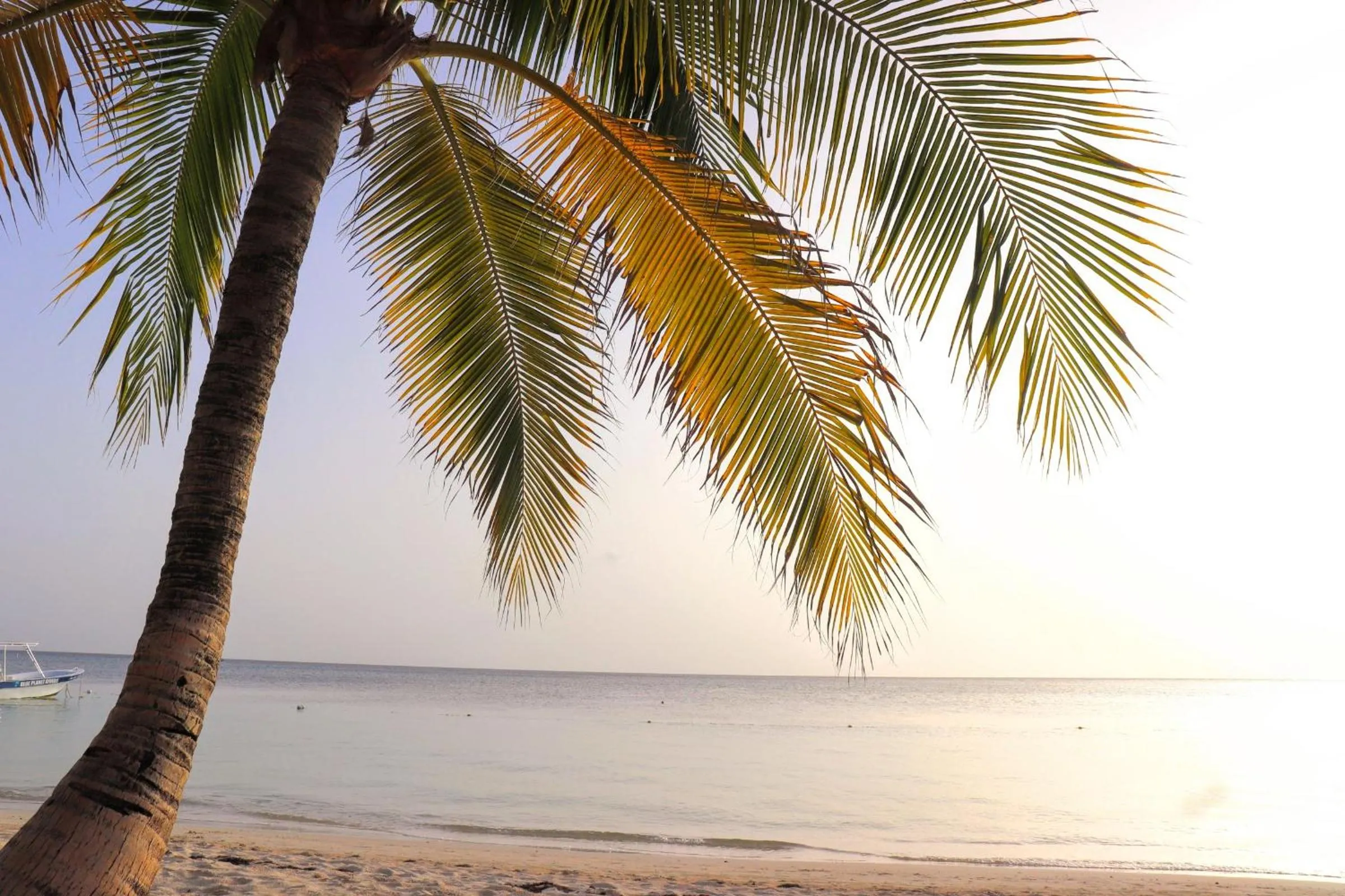 Hotel Posada Seremein ,West Bay ,Roatan