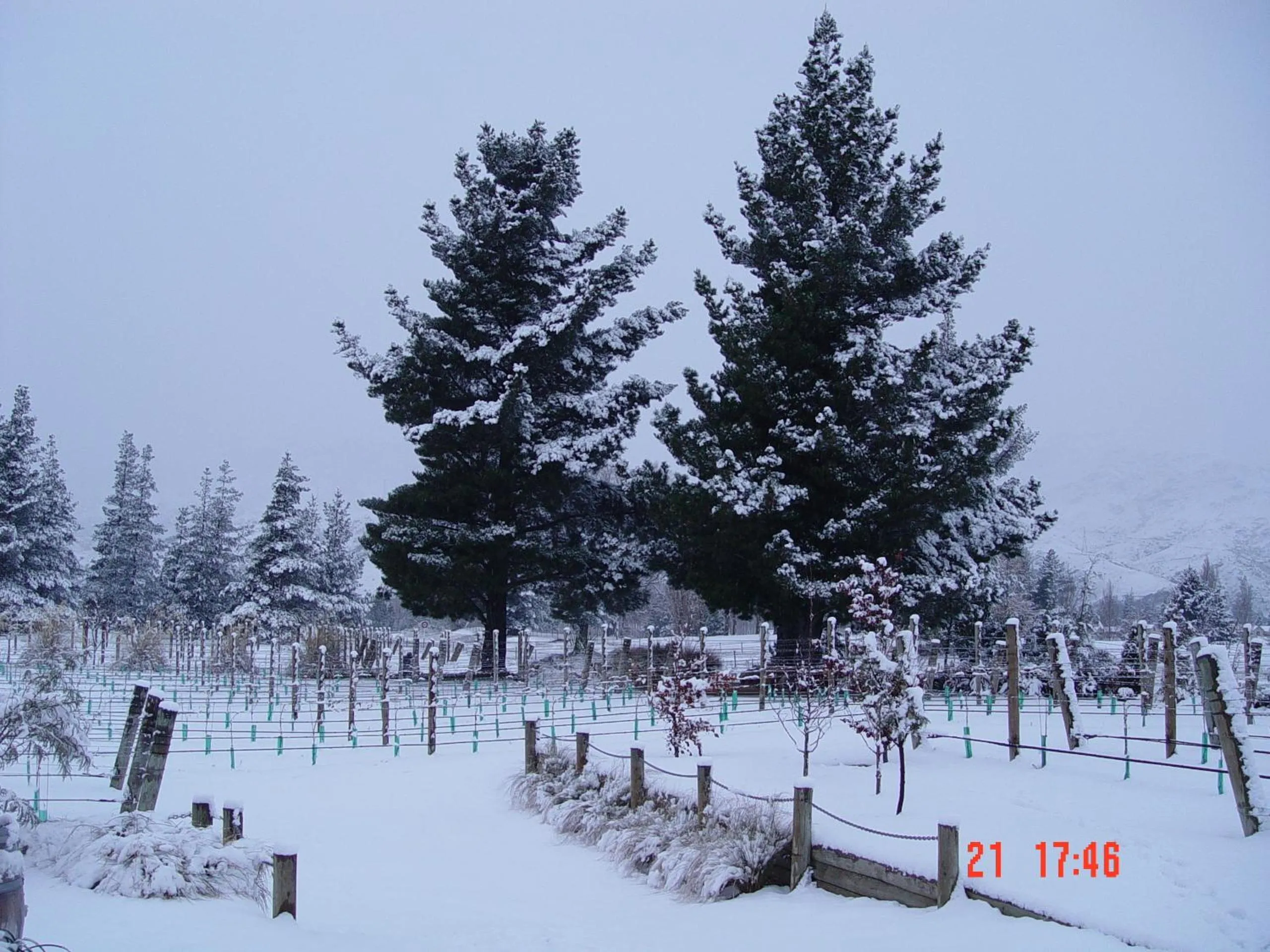 Area and facilities in River Rock Estate