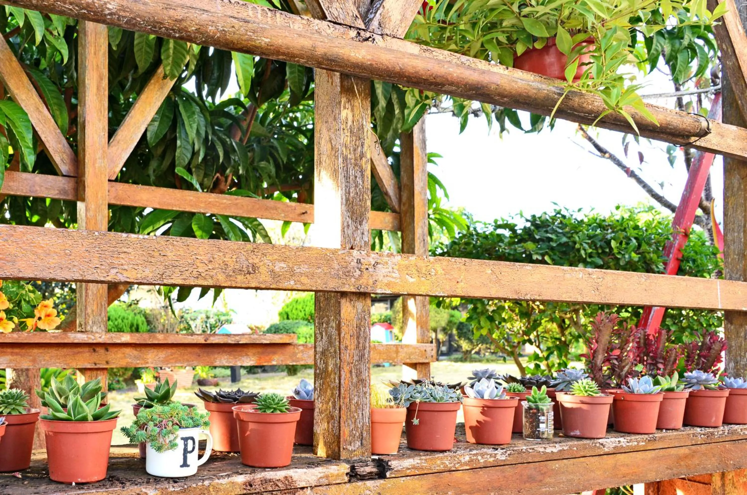 Other in Taichung Xinshe Garden Life Homestay B&B