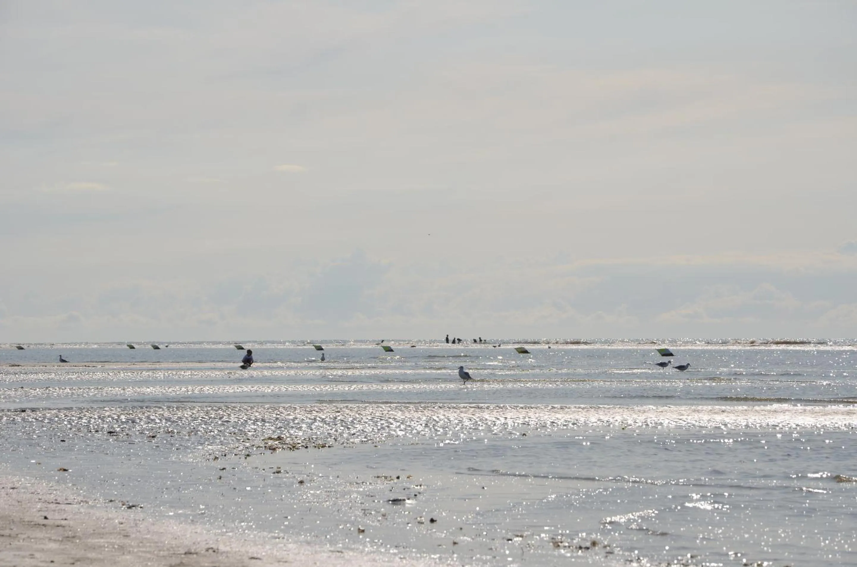 Activities in Landhotel Rehedyk