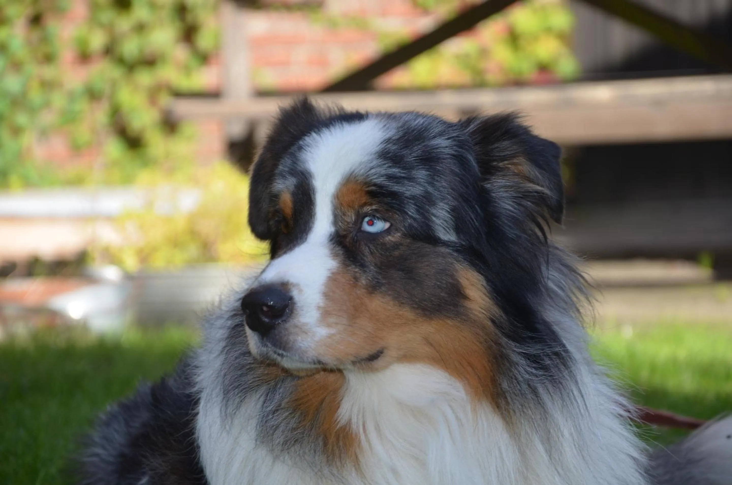 Other in Landhotel Rehedyk