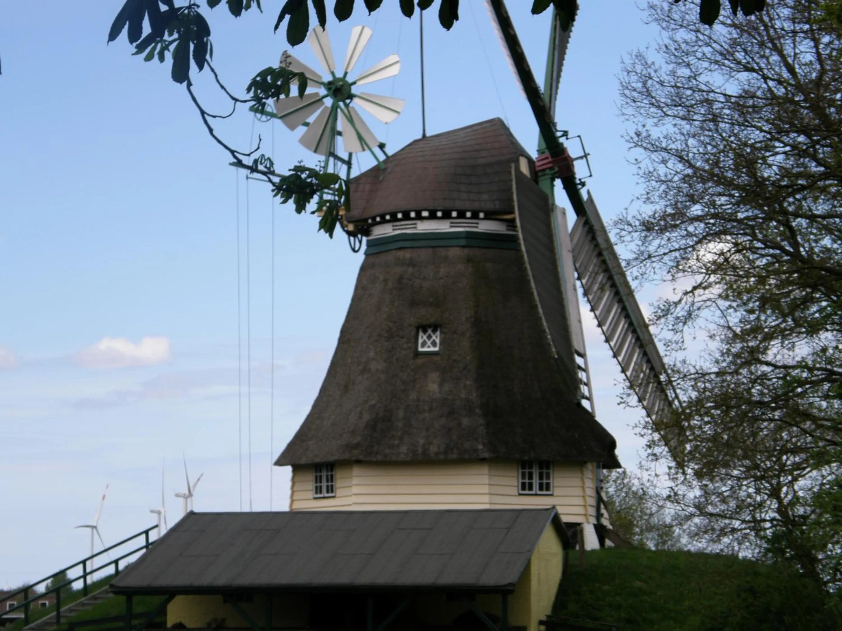 Activities in Landhotel Rehedyk