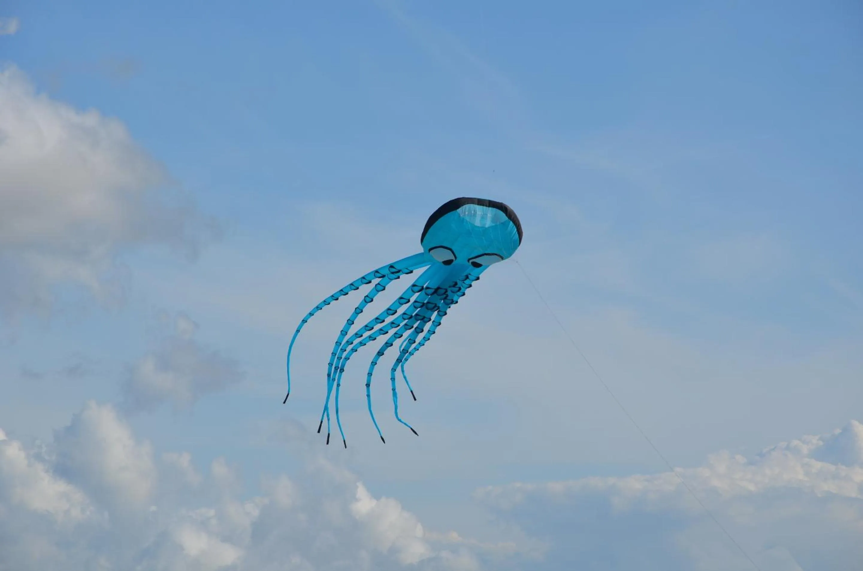 Activities in Landhotel Rehedyk