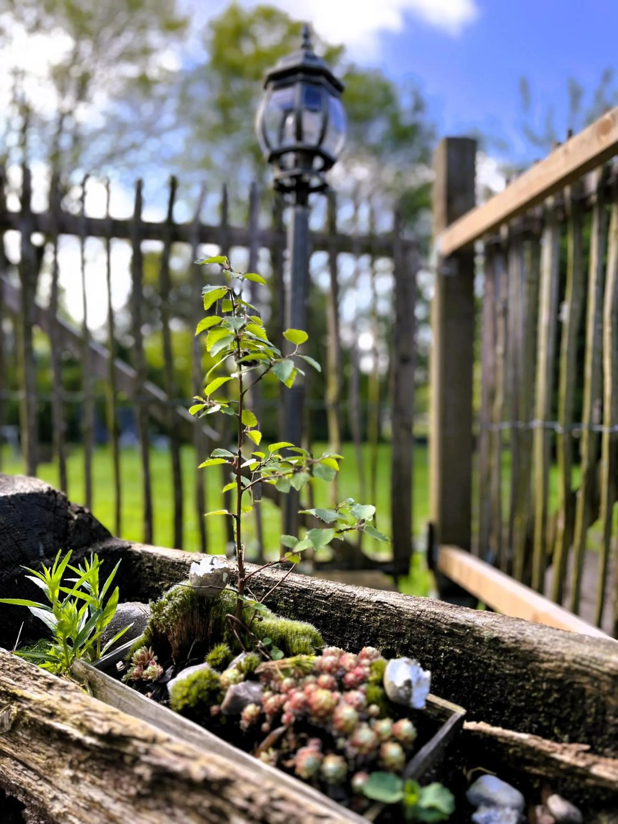 Property building in Landhotel Rehedyk