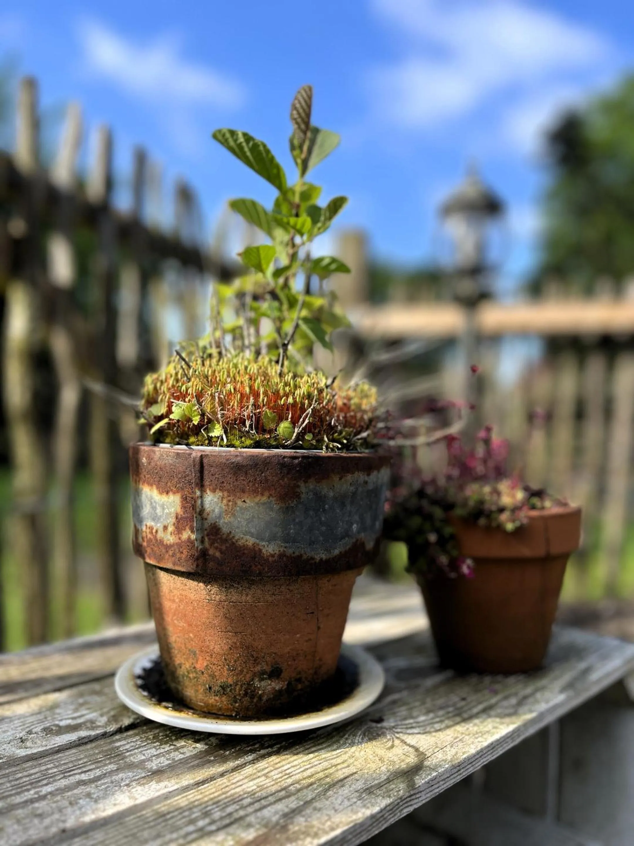 Property building in Landhotel Rehedyk