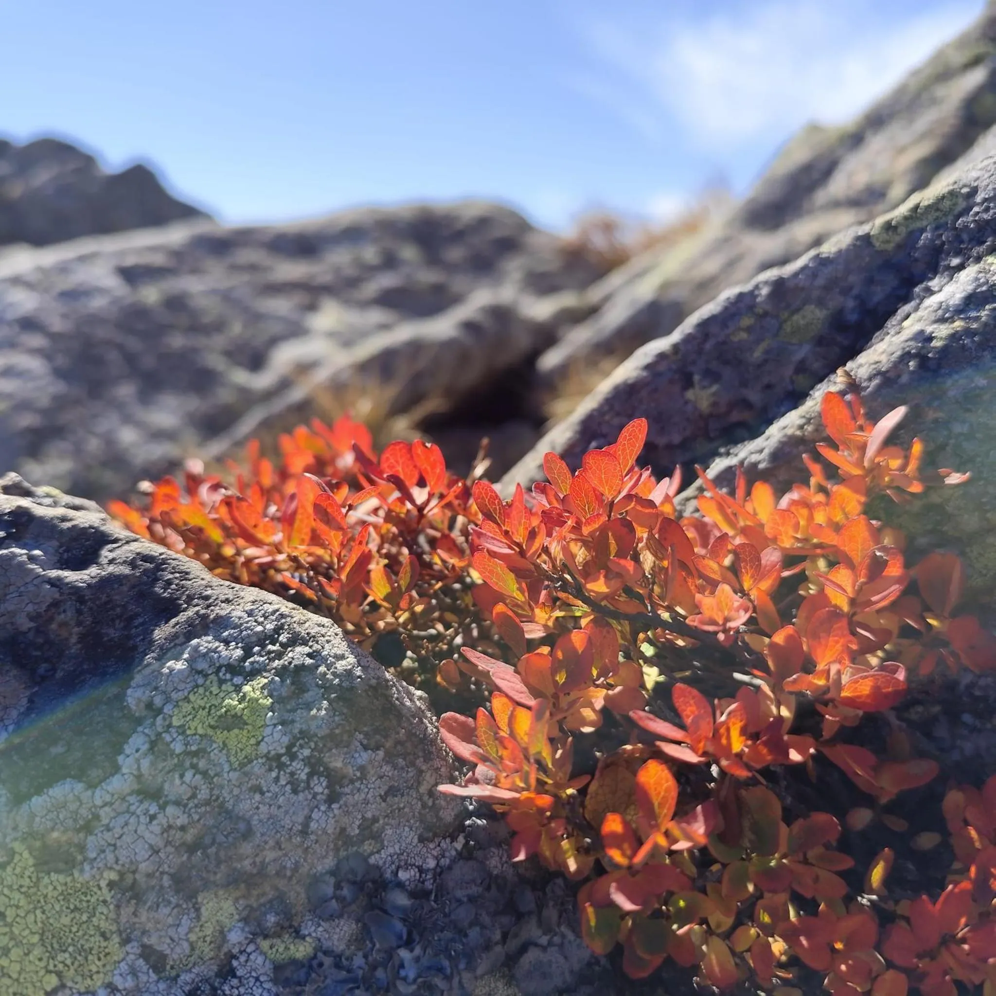 Spring in Hotel Prechtlhof