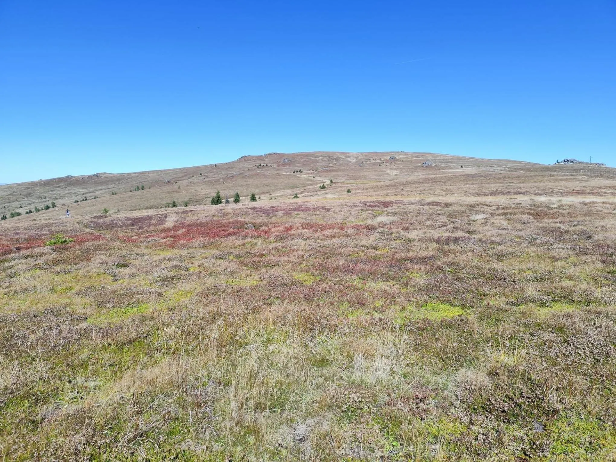 Natural landscape in Hotel Prechtlhof