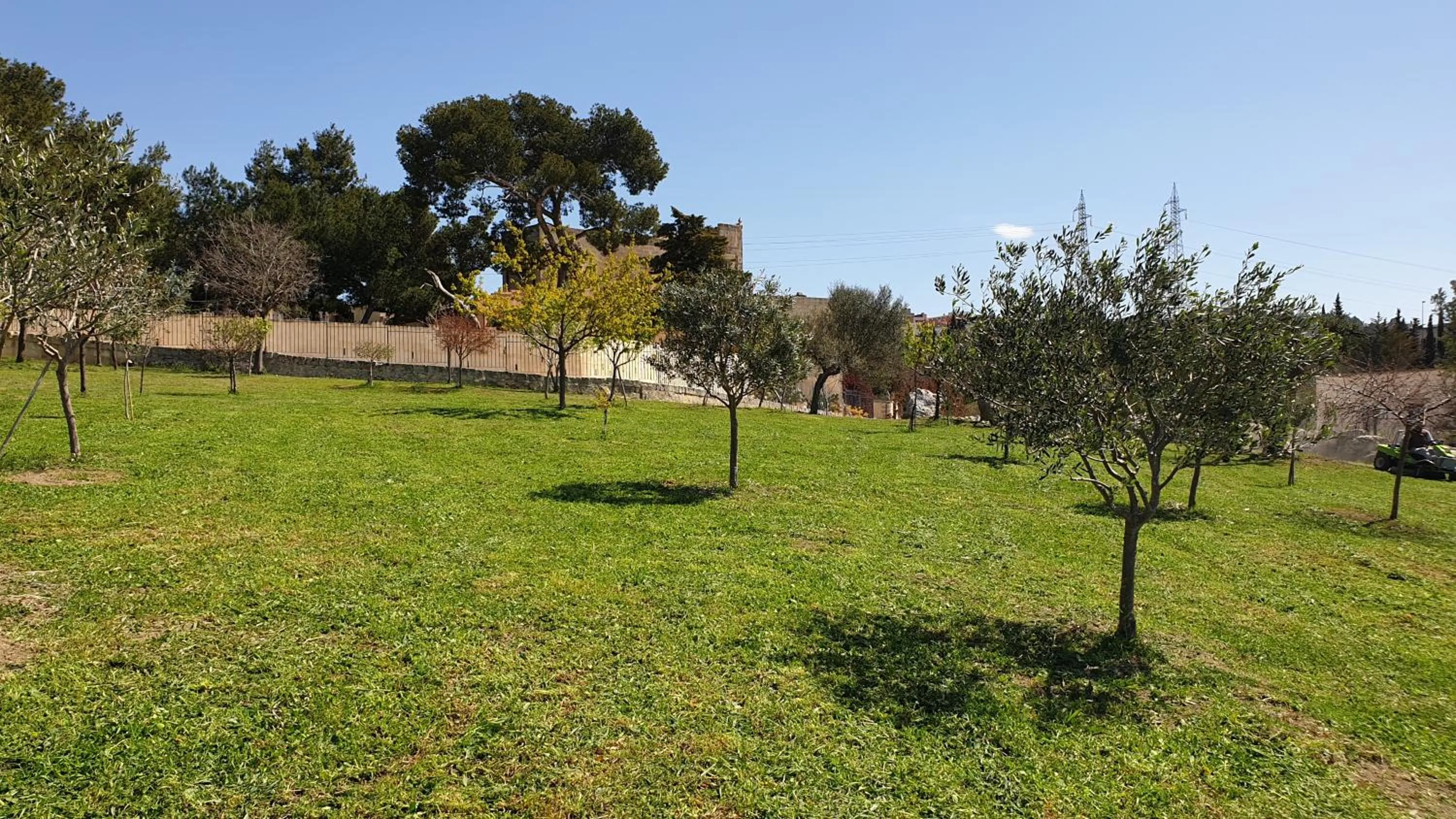 Natural landscape in Residence Masseria Santa Lucia