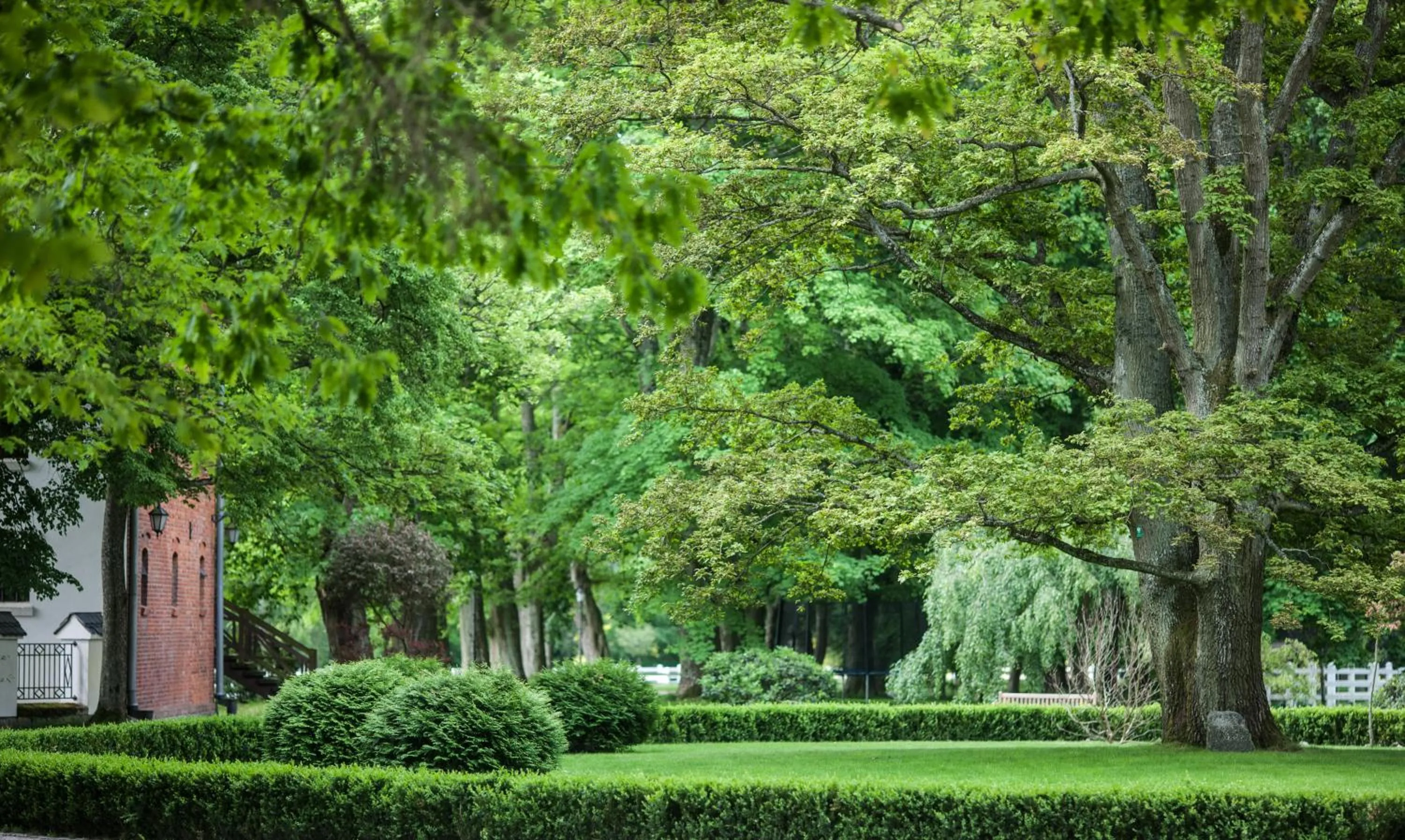 Garden in Pałac Ciekocinko Hotel Resort & Wellness