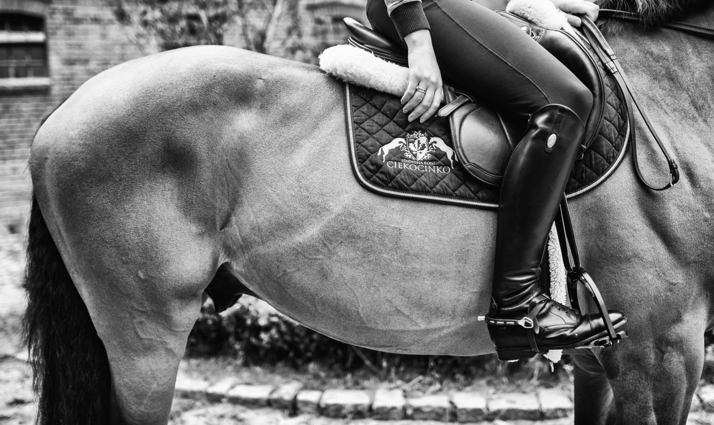 Horse-riding in Pałac Ciekocinko Hotel Resort & Wellness