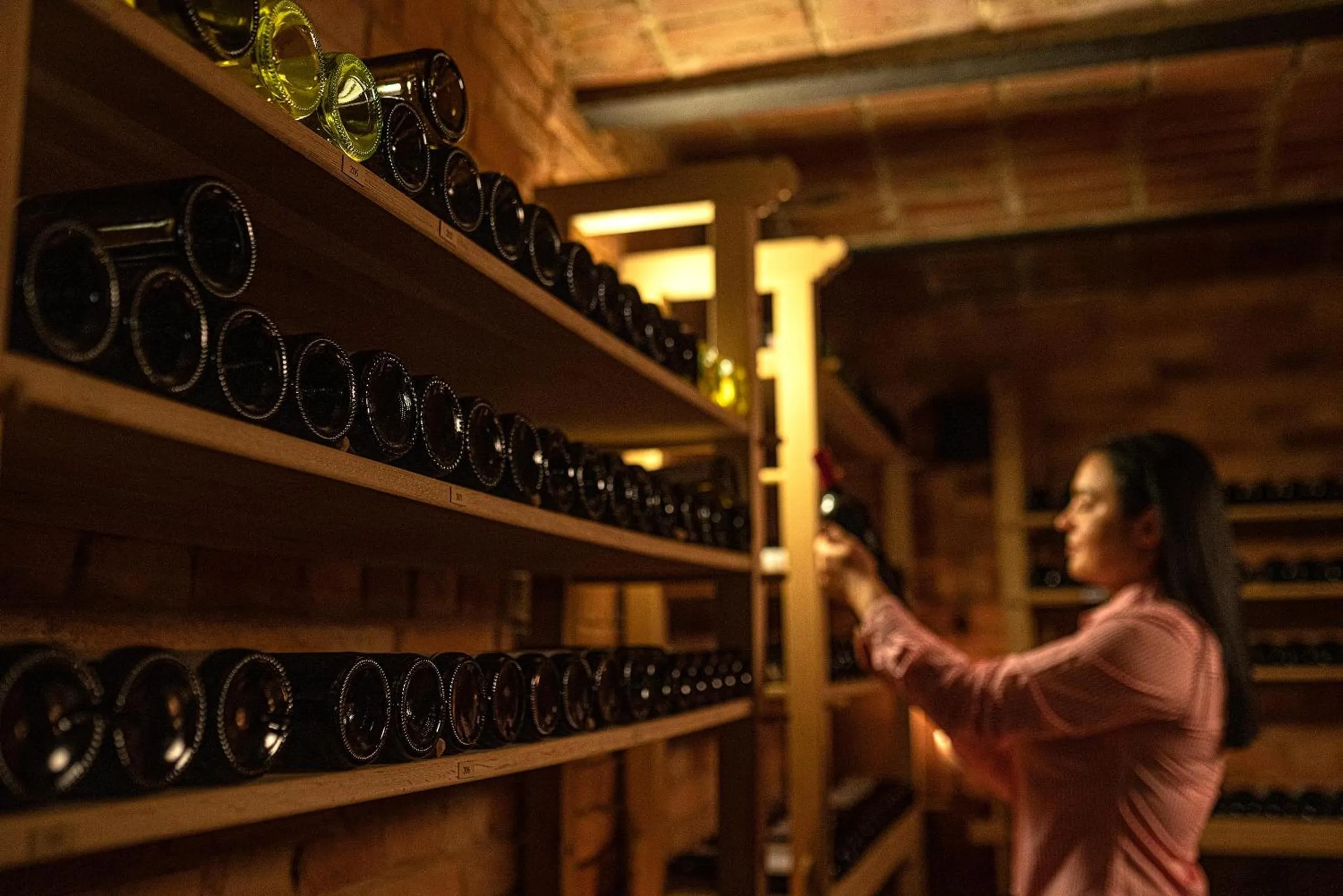 Pałac Ciekocinko Hotel Resort & Wellness