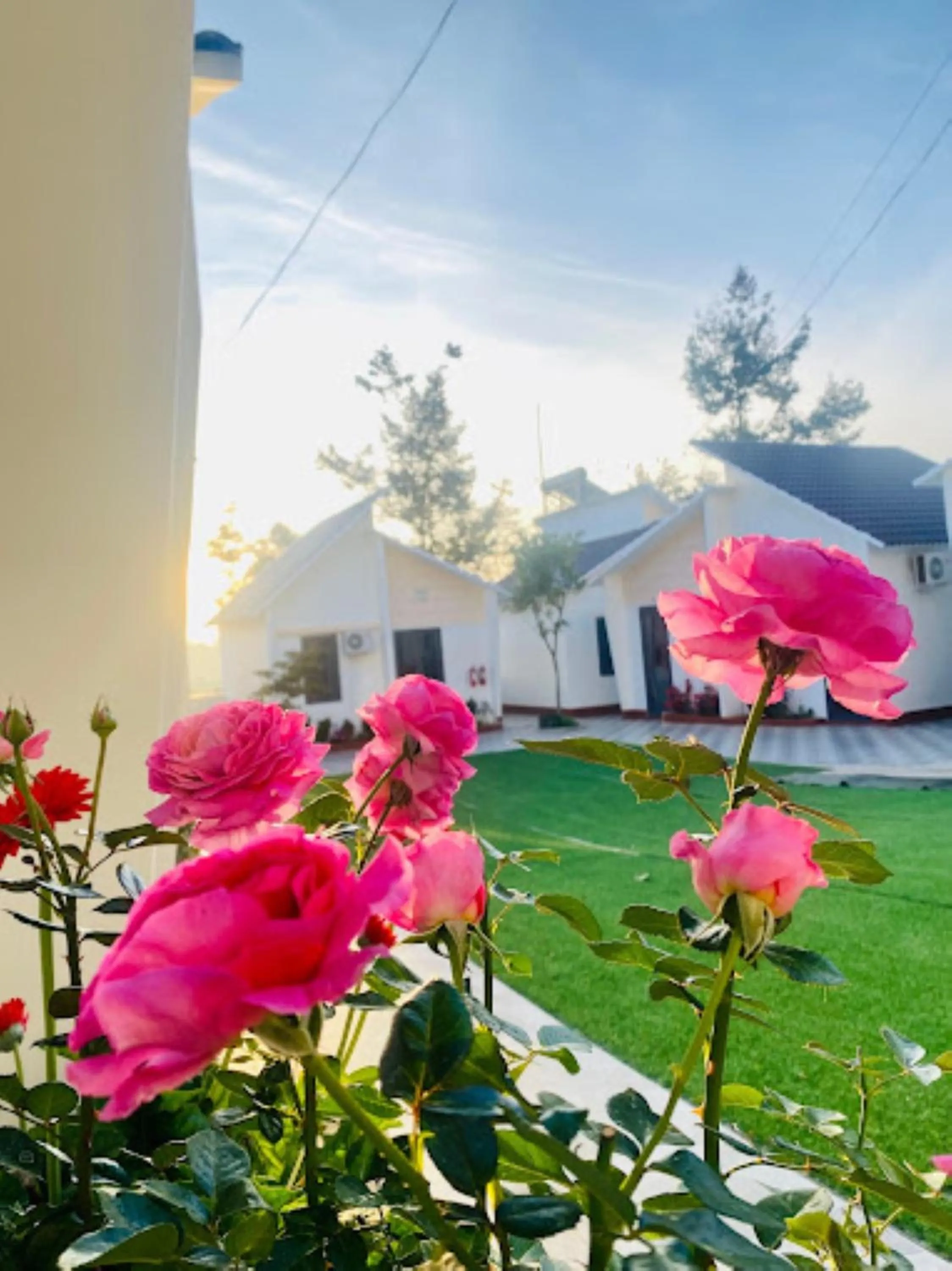 Property building in ĐAM MÊ HOMESTAY