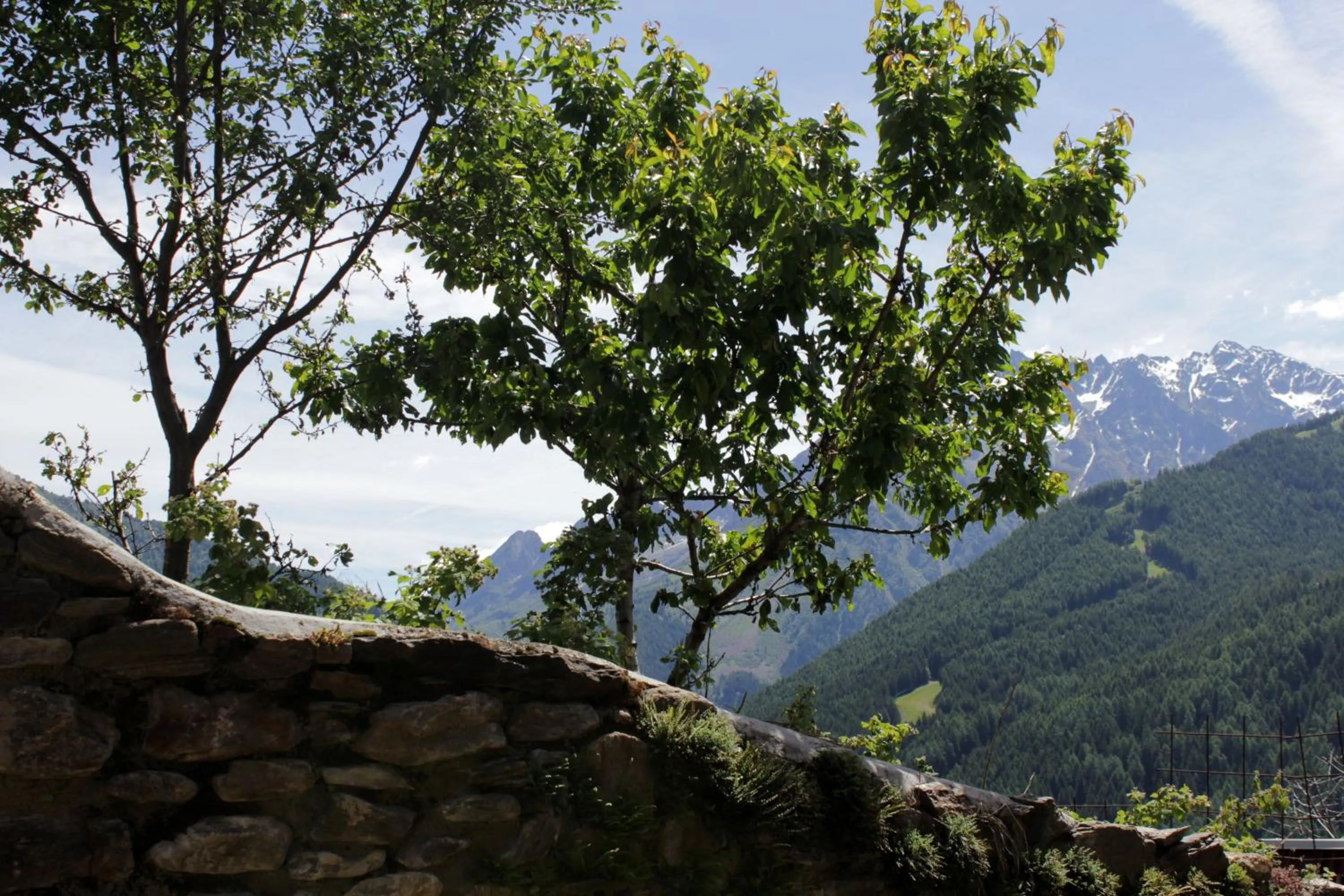 Spring in B&B Villa Dalegno