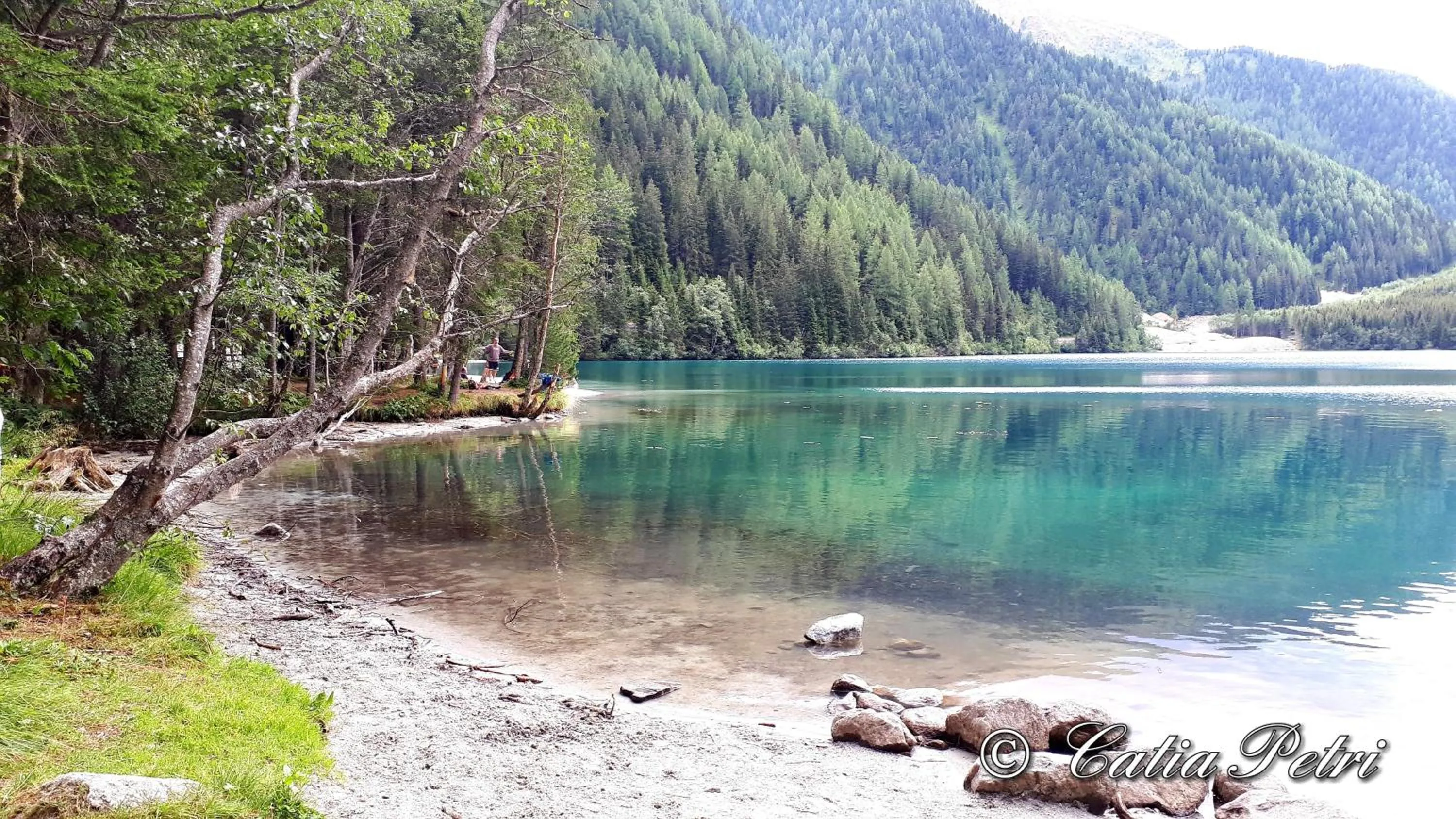 Natural landscape in Hotel Pörnbacher