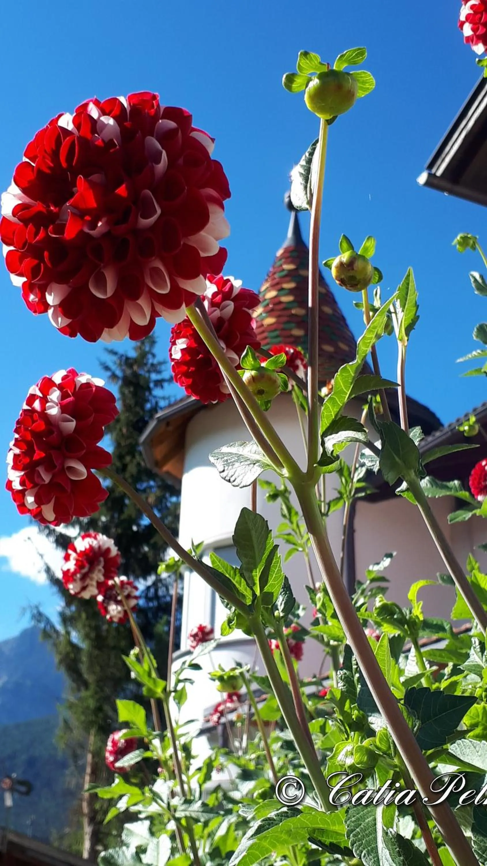 Property building in Hotel Pörnbacher