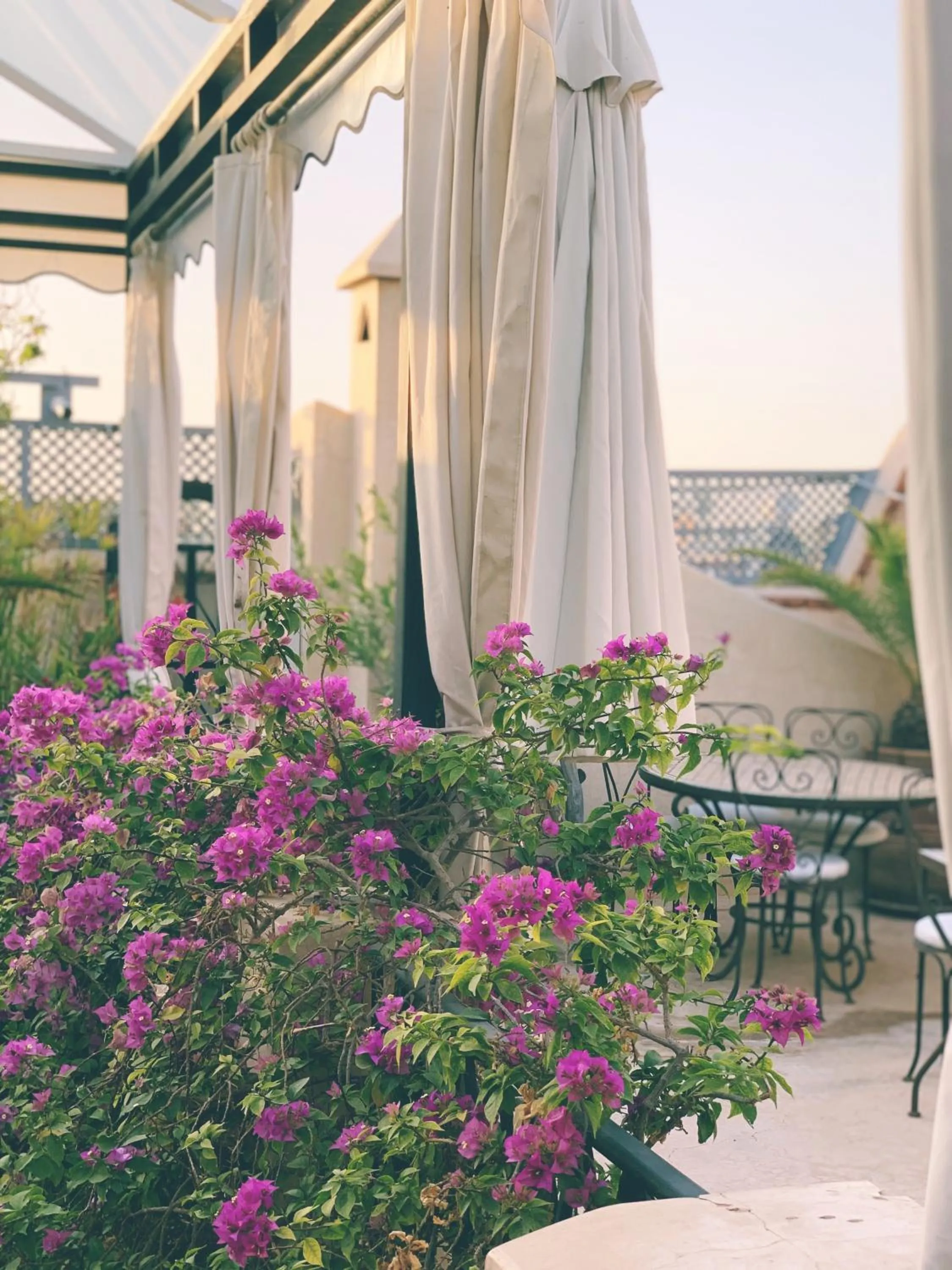 Balcony/Terrace in Riad of The Light