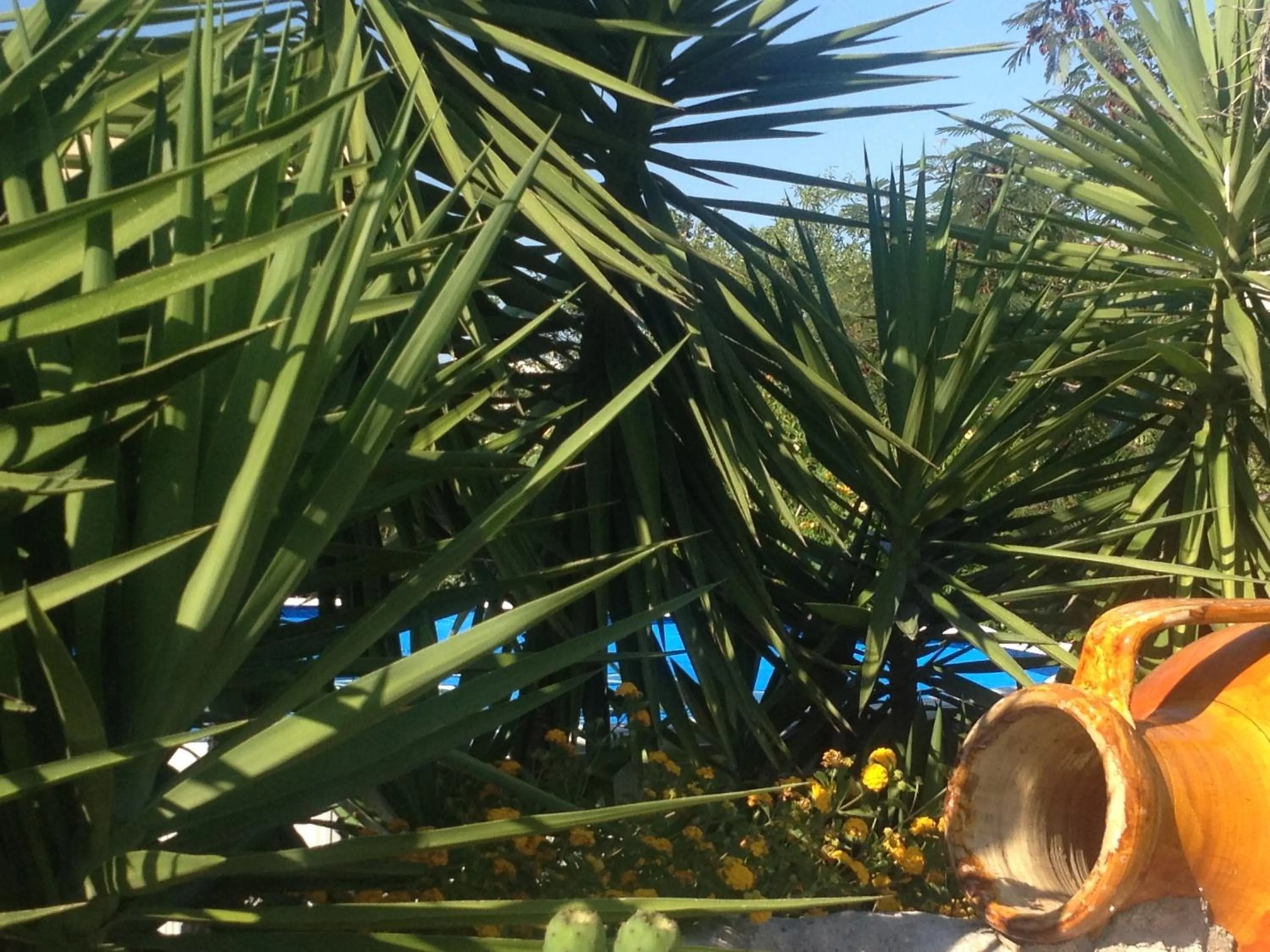 Swimming pool in B&B Donna Luisa