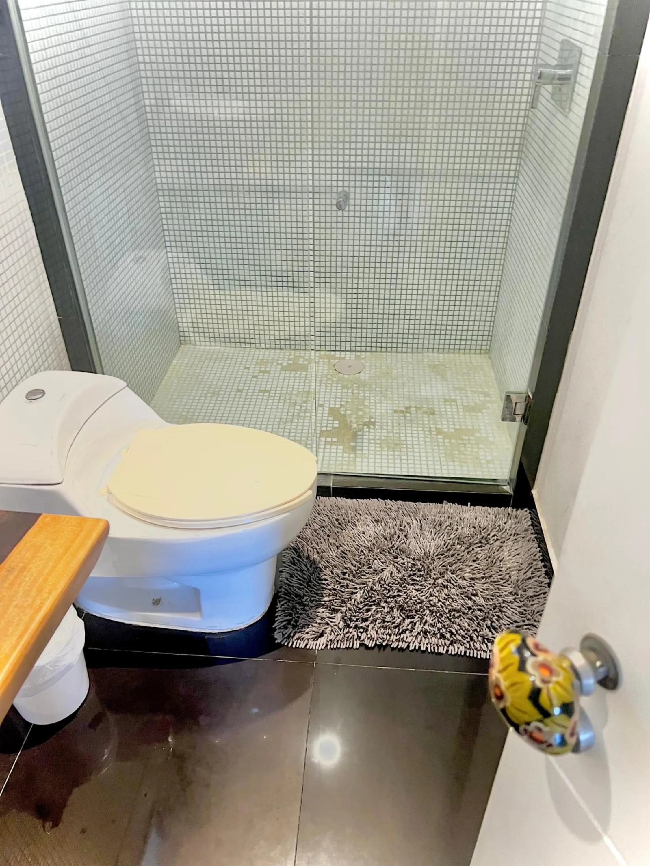 Shower in Playa Centro Rooftop Apartments & Studios