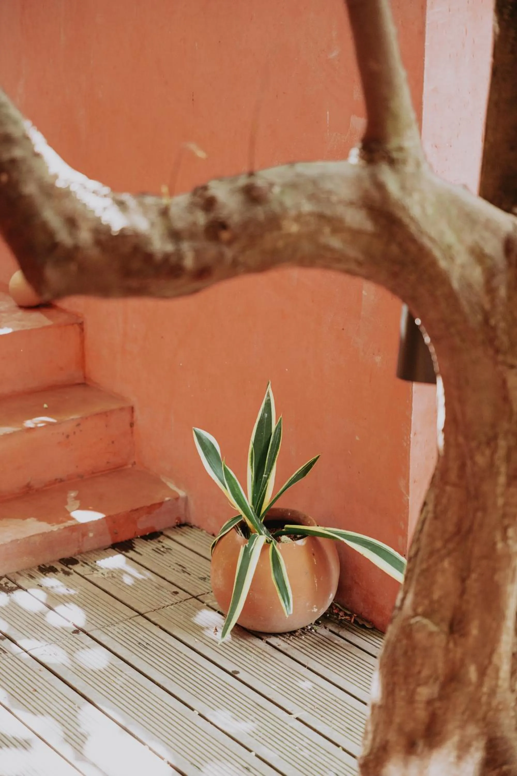 Balcony/Terrace in CASA CHAKÁ BOUTIQUE