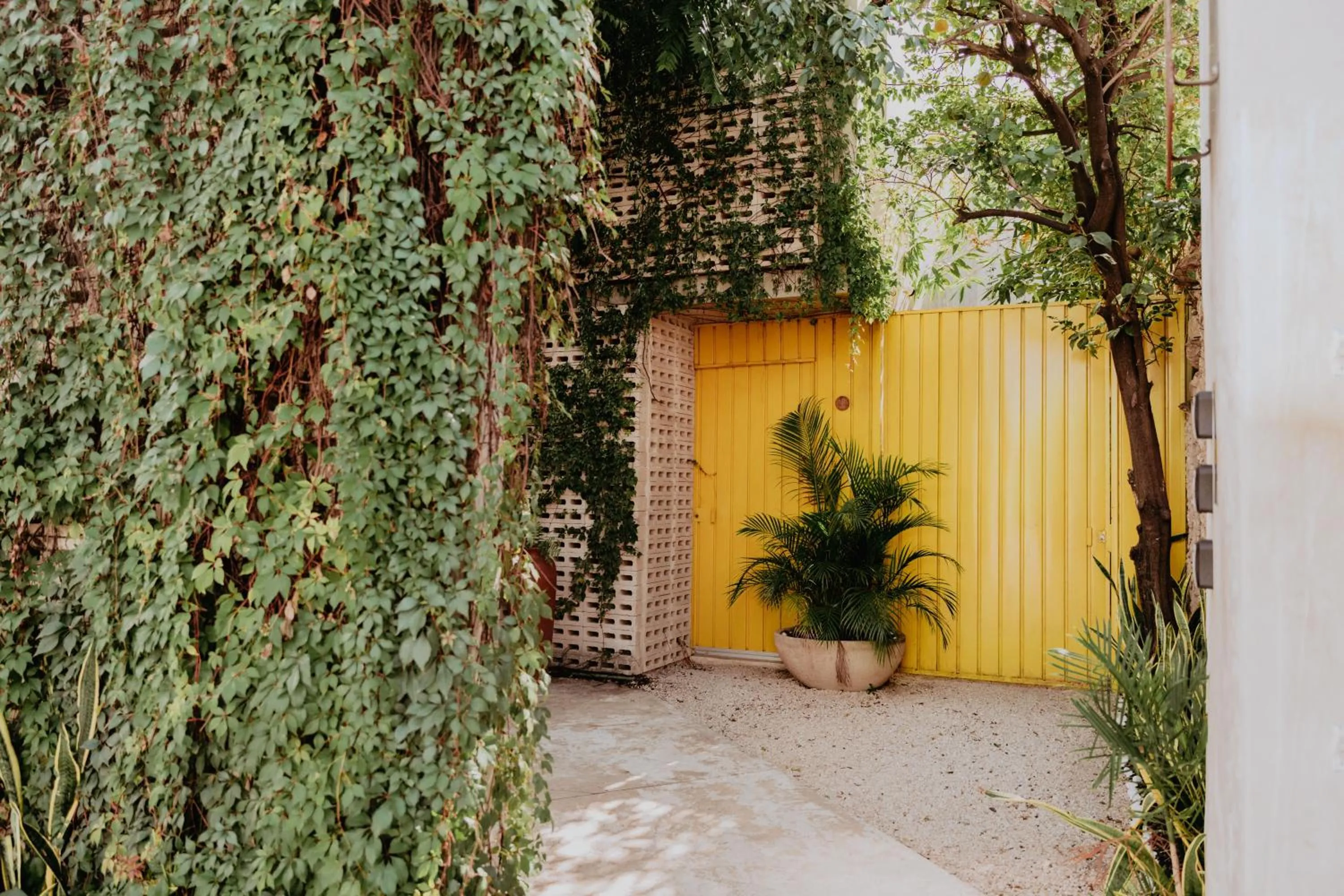 Property building in CASA CHAKÁ BOUTIQUE