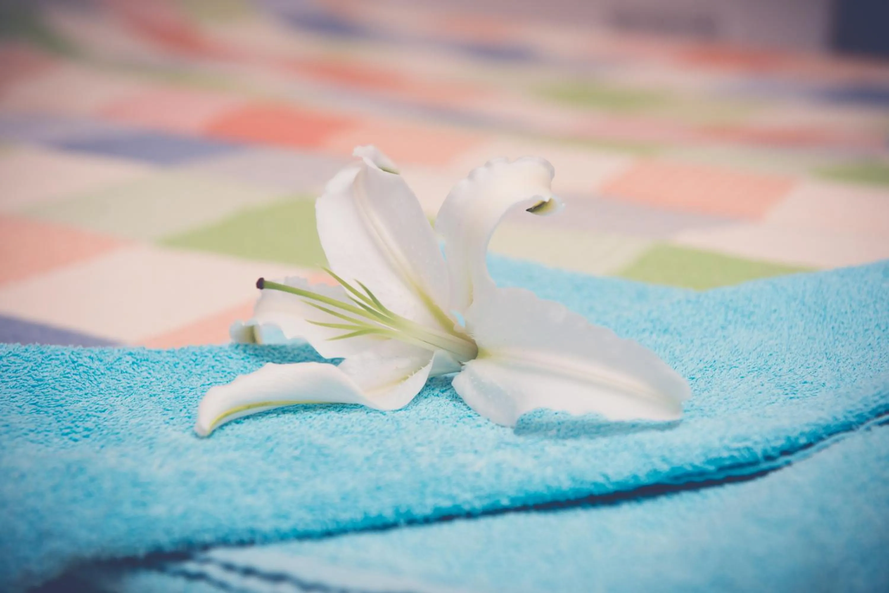 Decorative detail in Valentinos Apartments