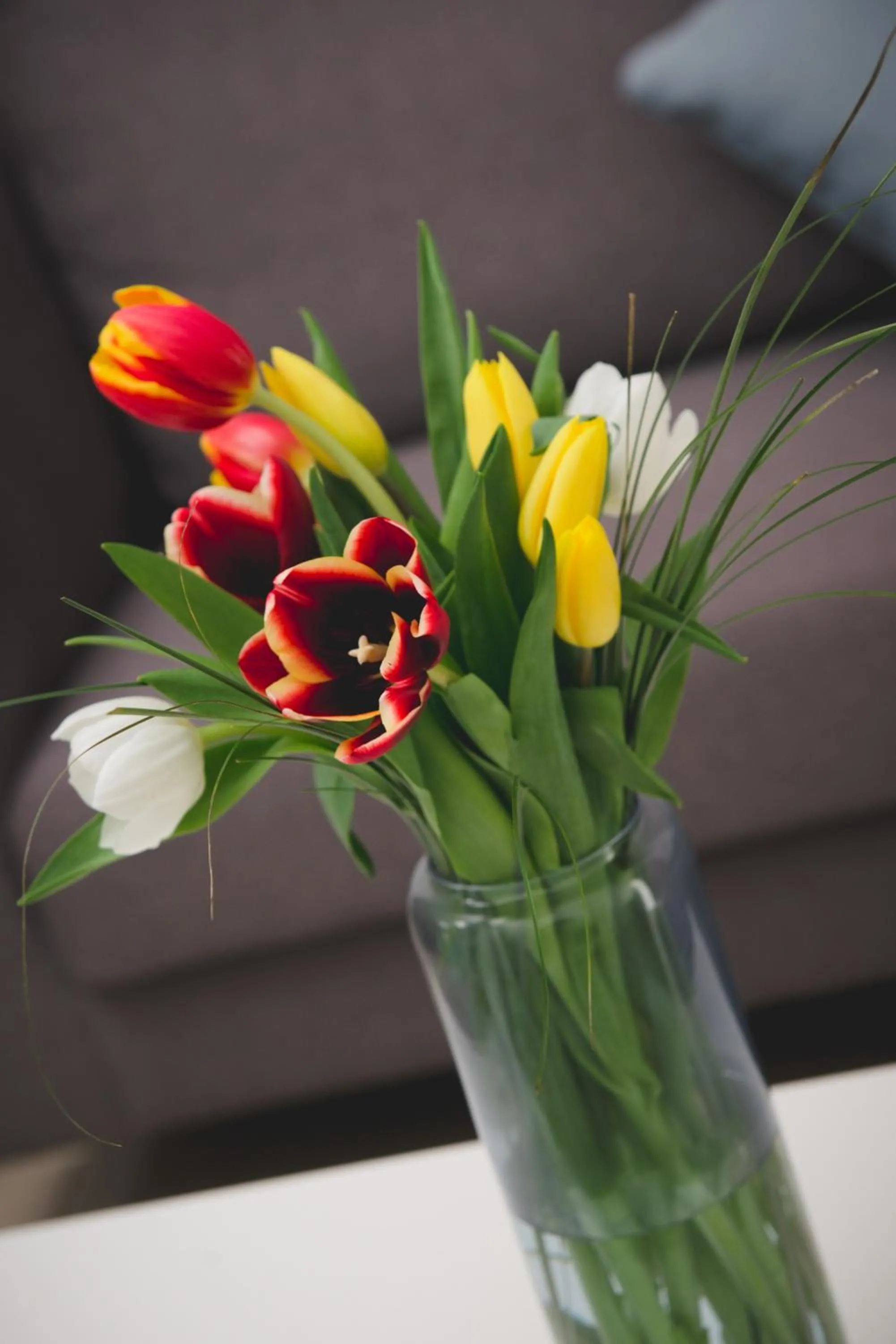 Decorative detail in Valentinos Apartments