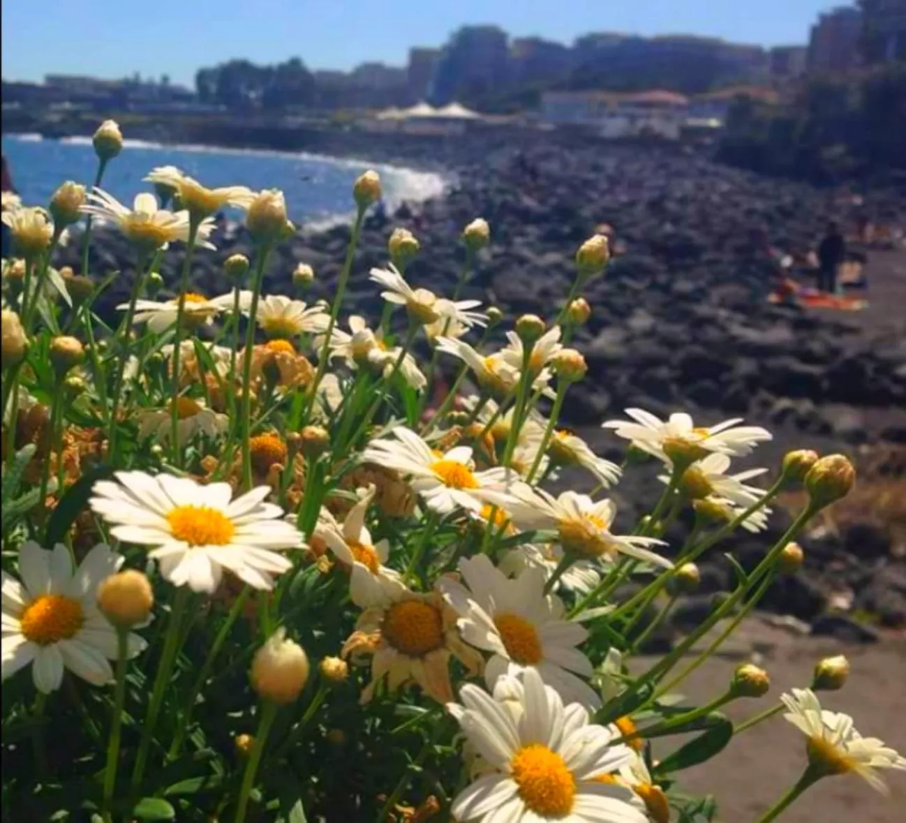 Natural landscape in Venere B&B