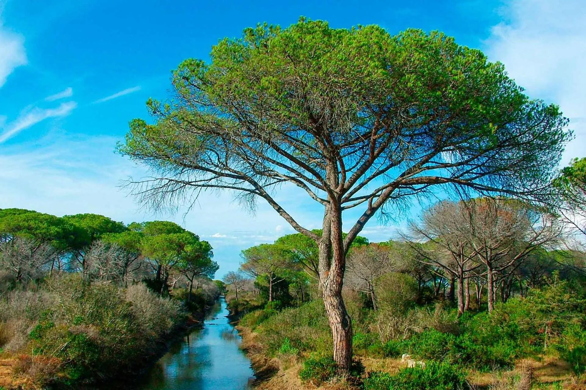 Hiking in Agriturismo Al Vermigliano