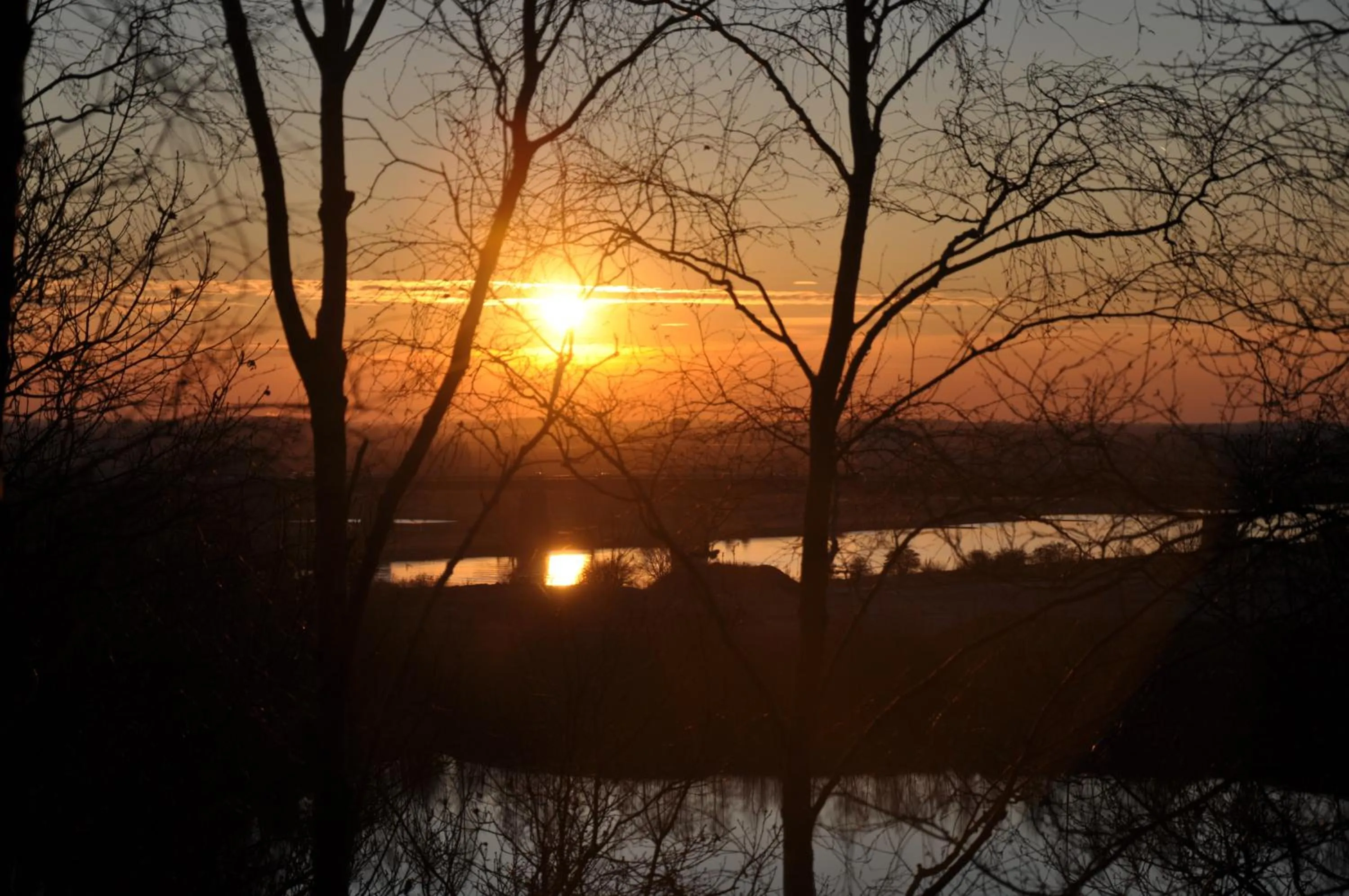 Neighbourhood in Hotel 't Paviljoen