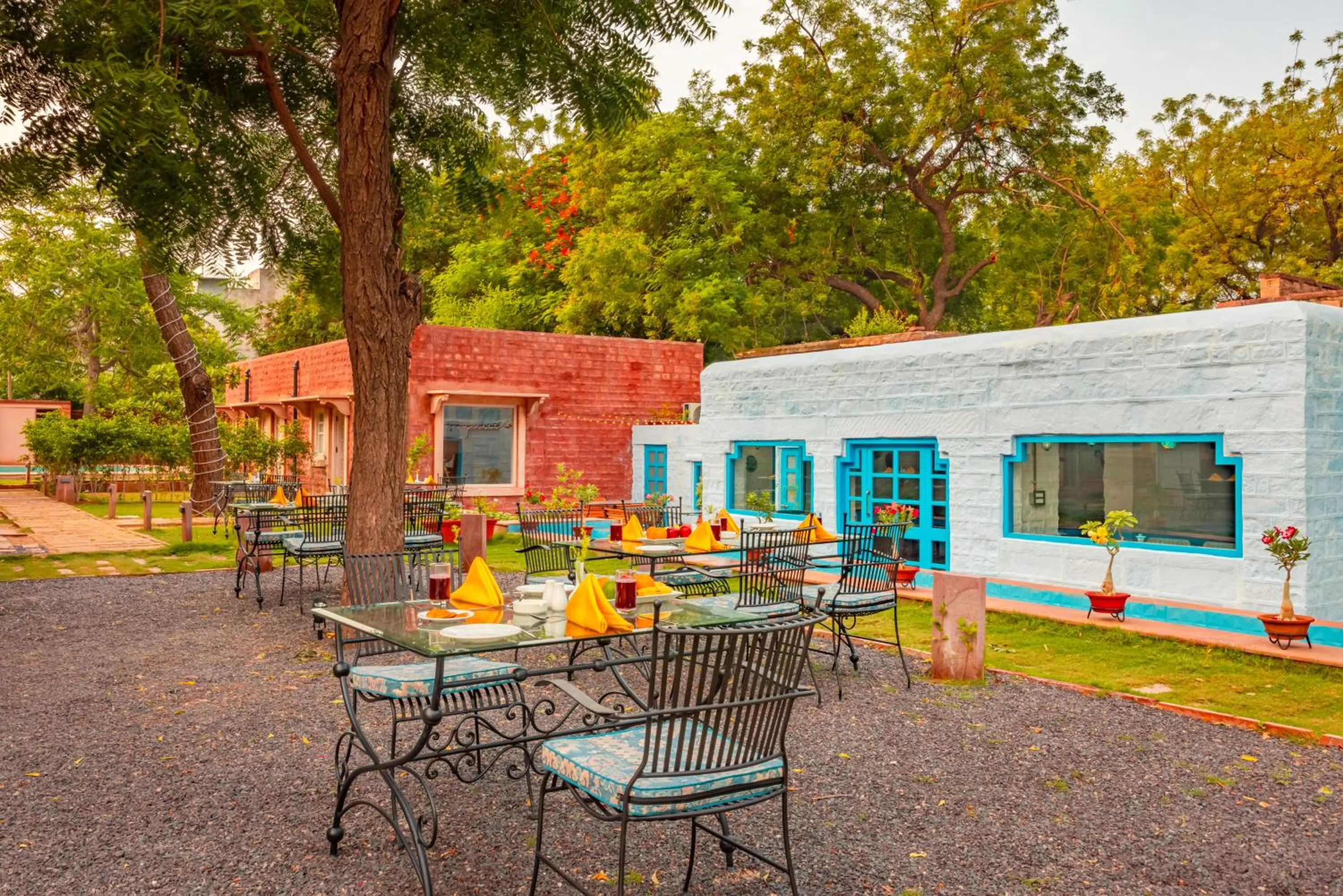 Lounge or bar in Tree Of Life Bhadrajun House, Jodhpur