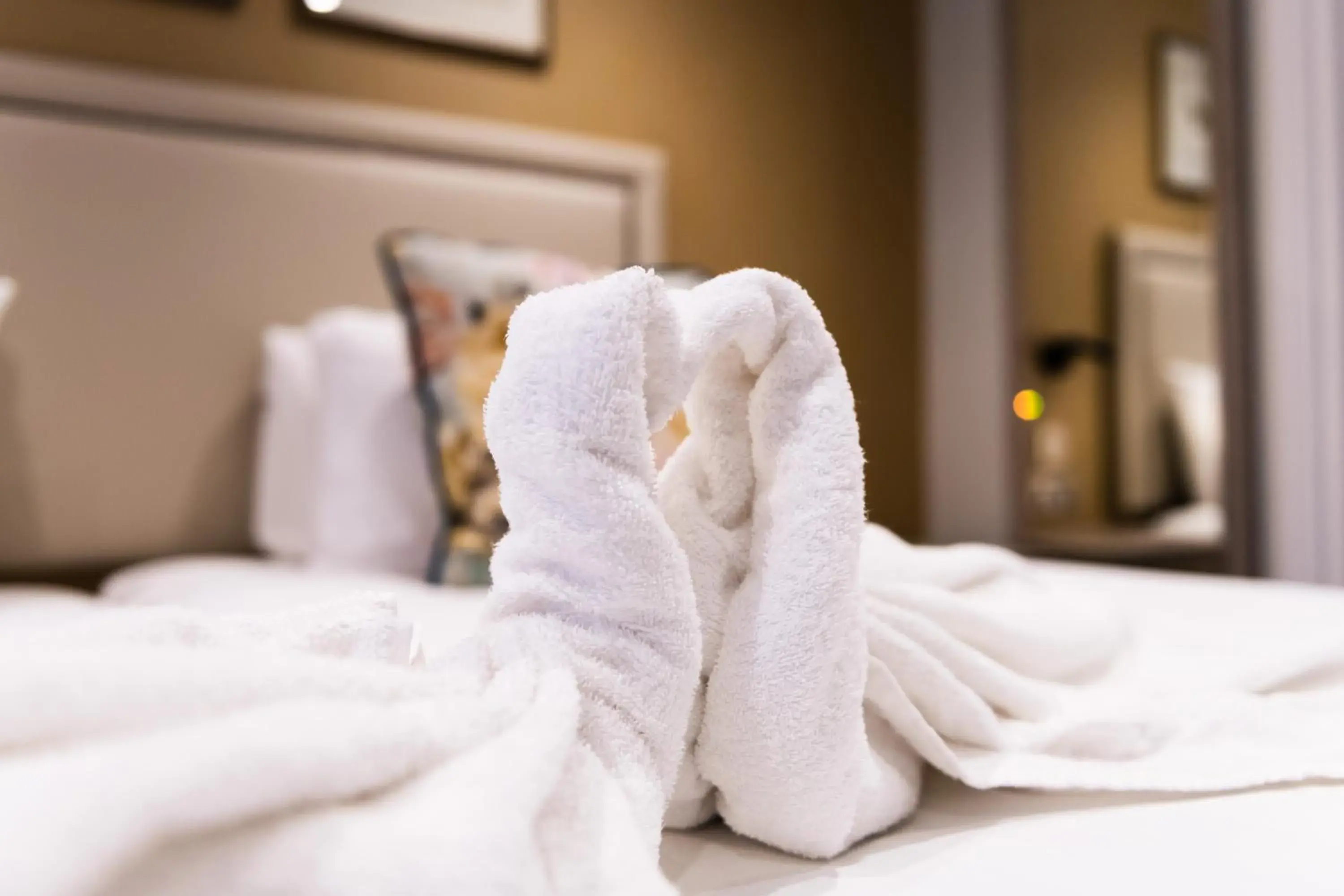 Superior Double or Twin Room in Byron Hotel Superior Double or Twin Room in Byron Hotel