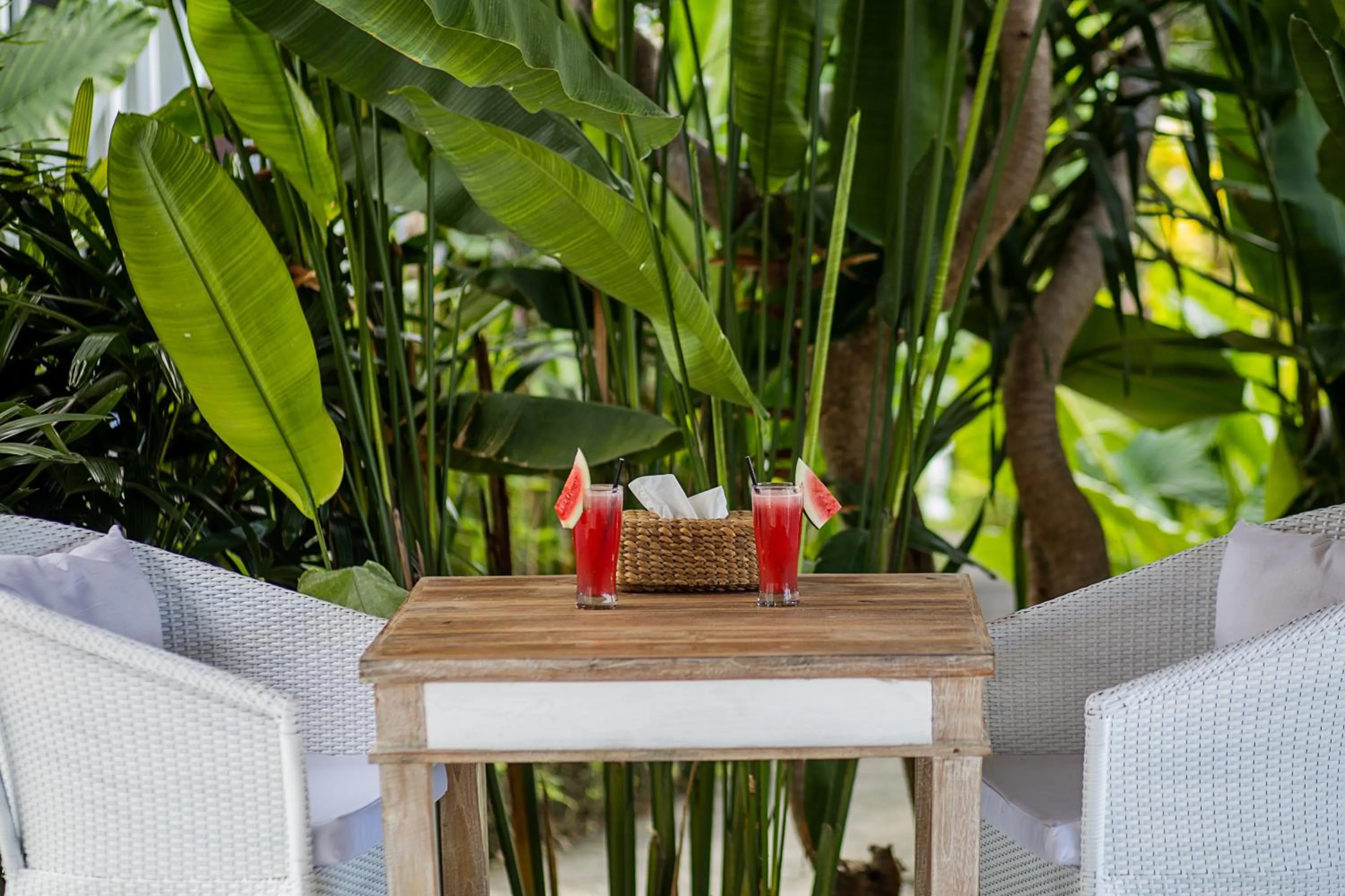 Garden in Stardust Villas