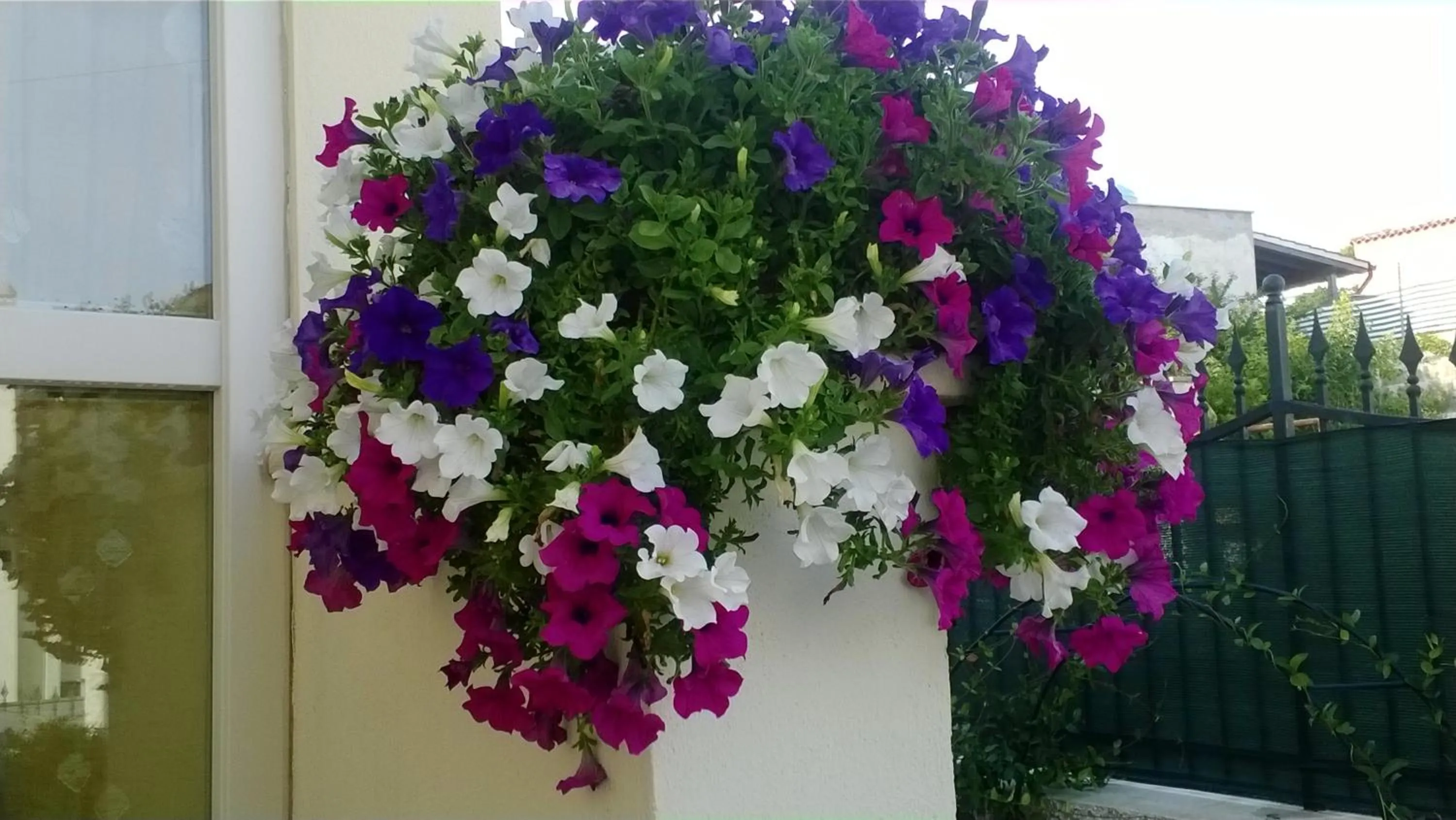 Day in Bed and Breakfast Angolo Fiorito