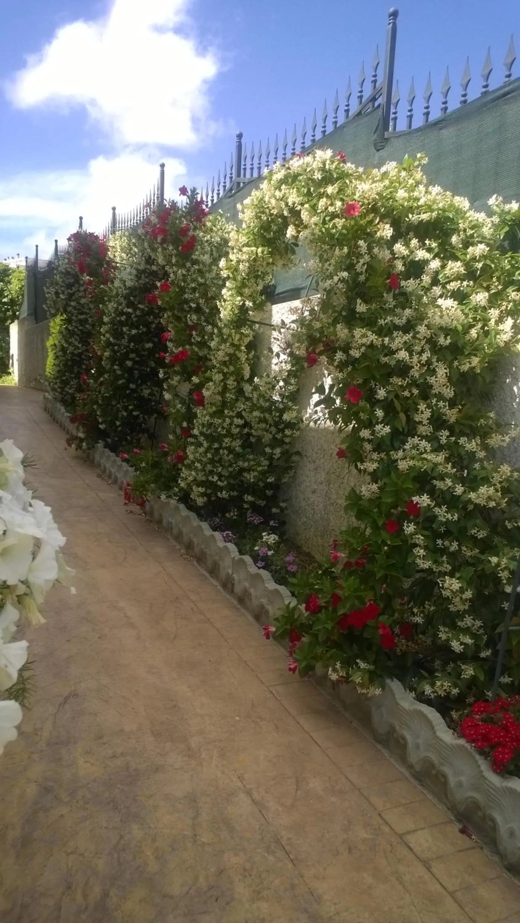 Garden in Bed and Breakfast Angolo Fiorito