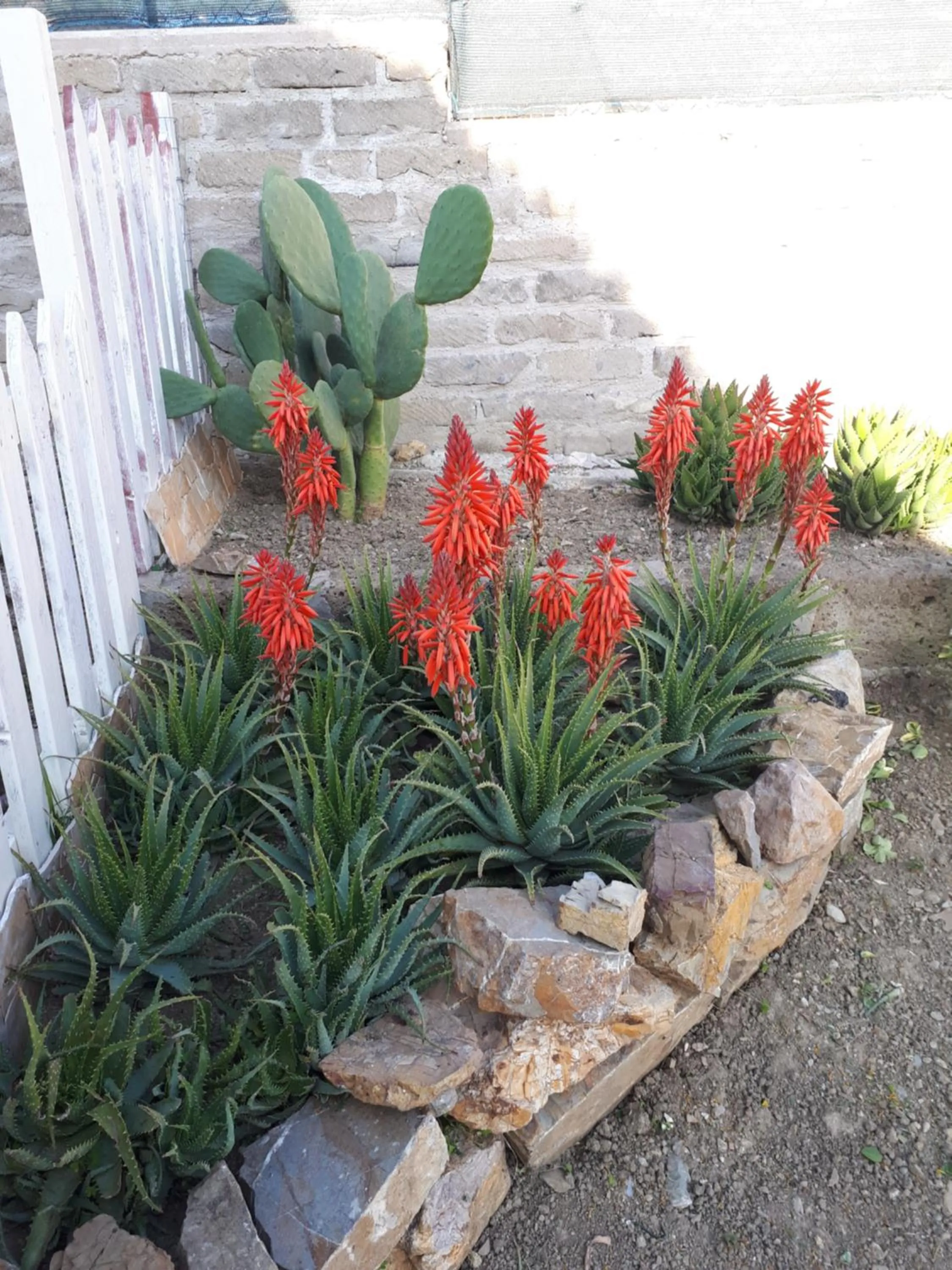 Spring in Bed and Breakfast Angolo Fiorito