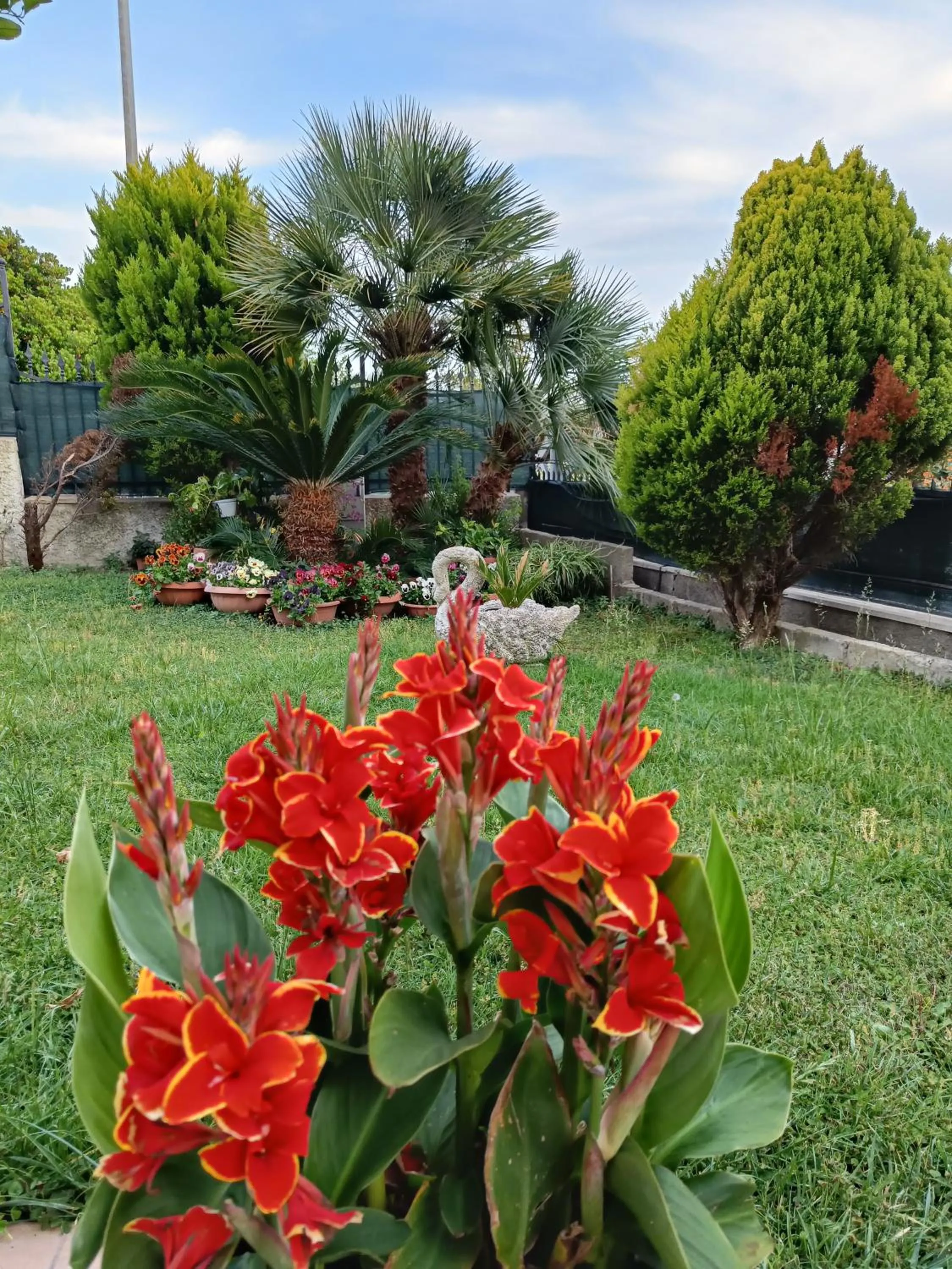 Garden in Bed and Breakfast Angolo Fiorito