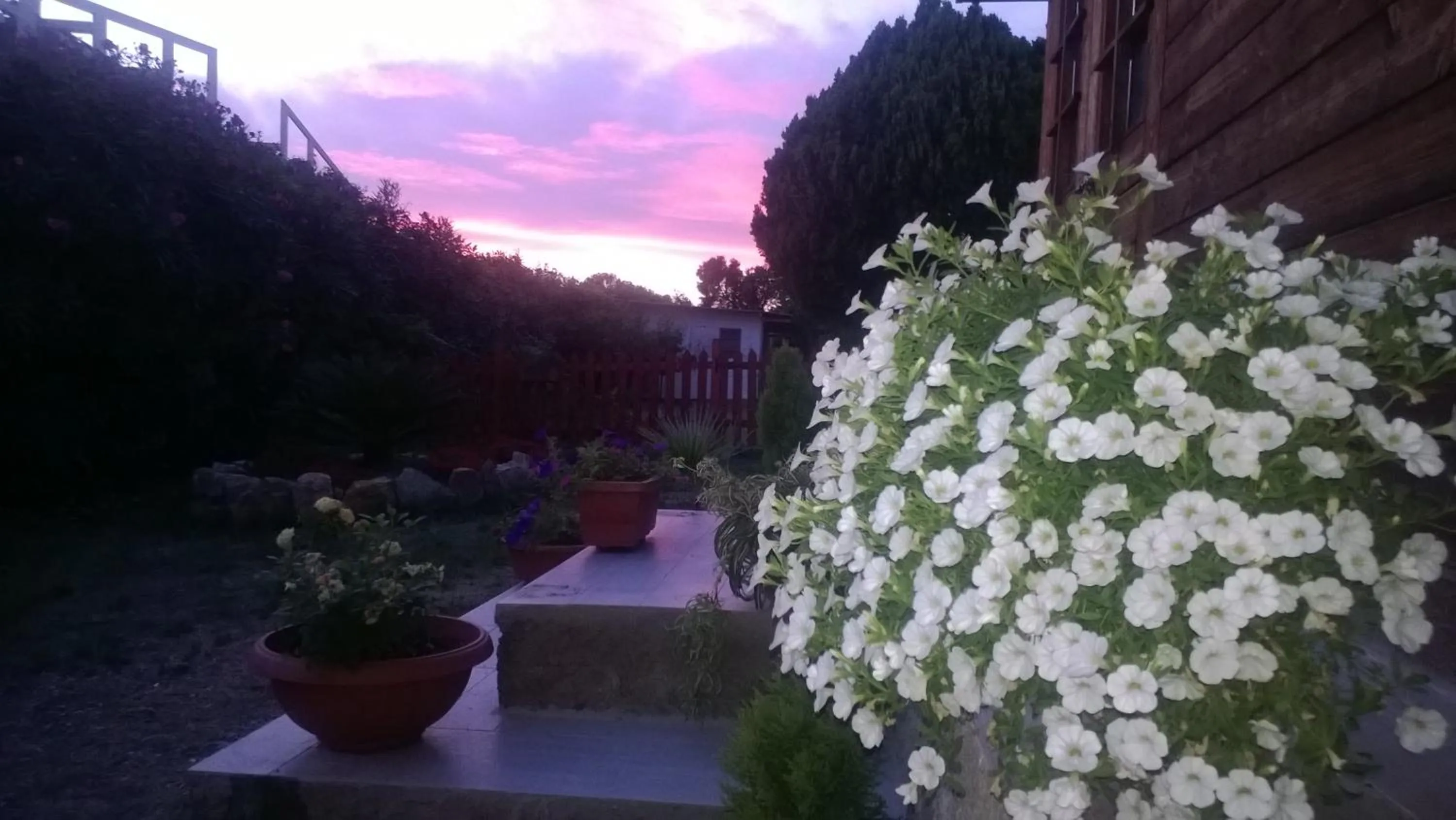 Garden view in Bed and Breakfast Angolo Fiorito