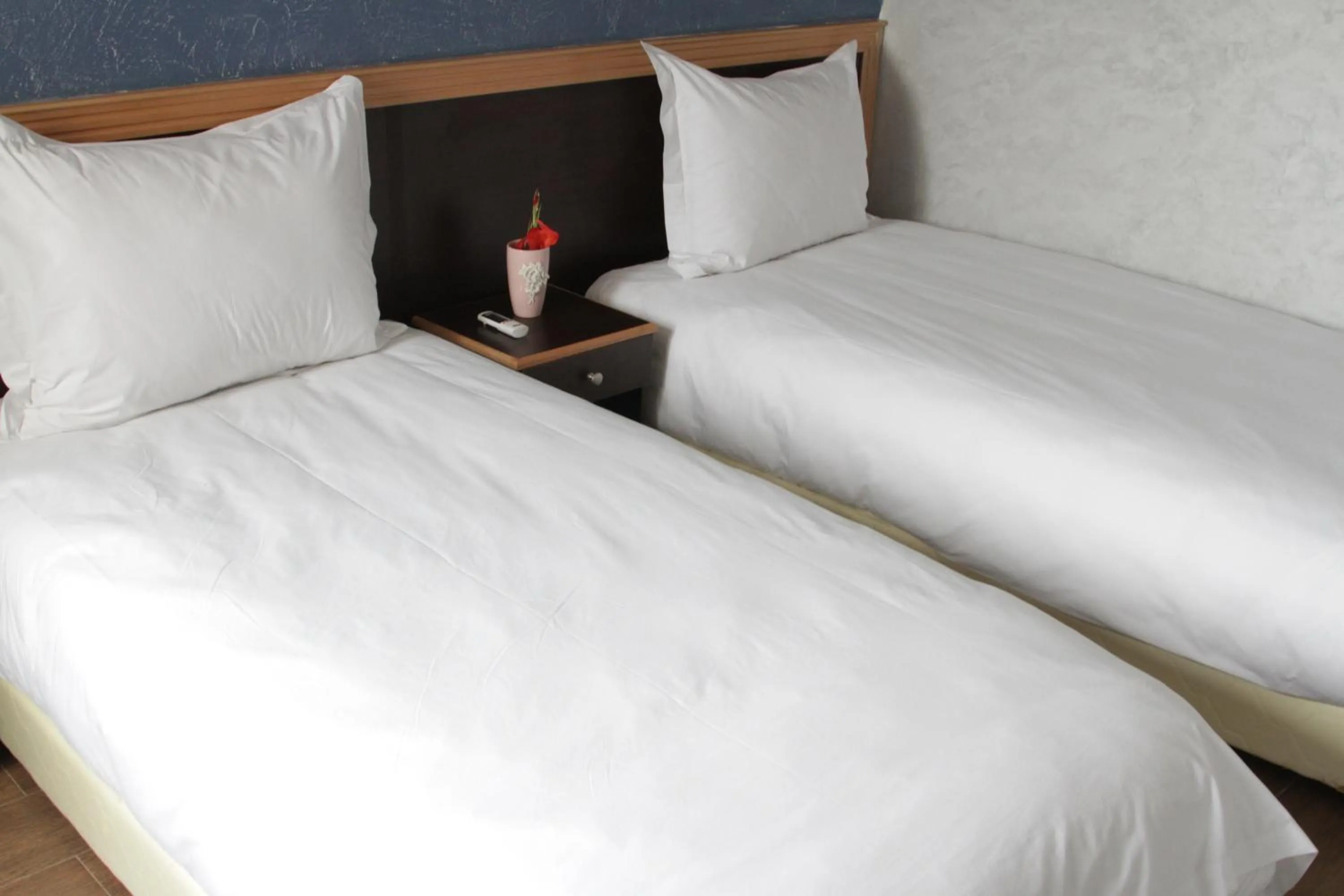 Bed in Hôtel Belle Vue et Spa