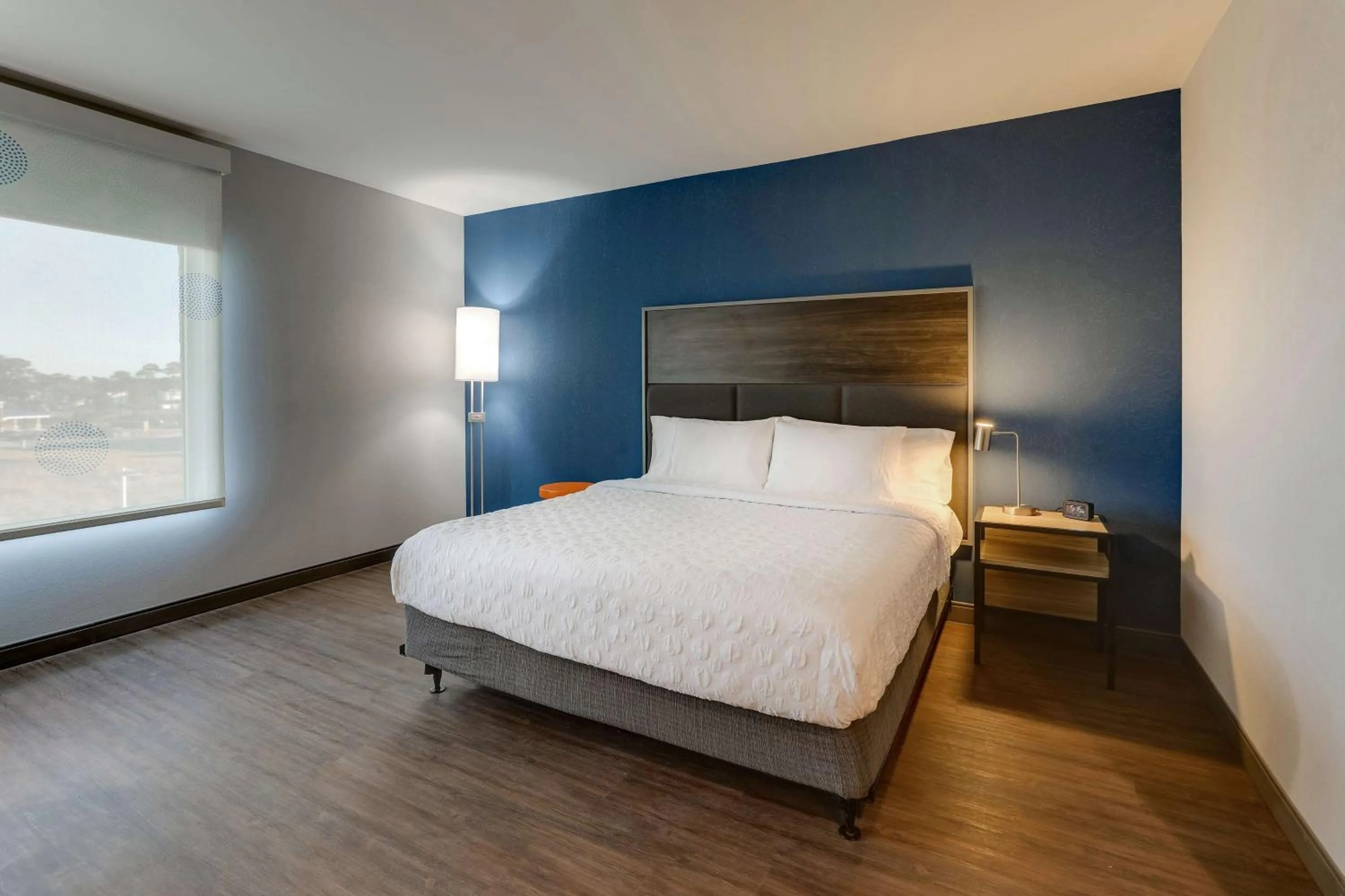 Bed in Tru By Hilton Leland Wilmington