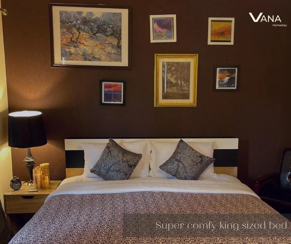 Superior King Room in VANA Homestay