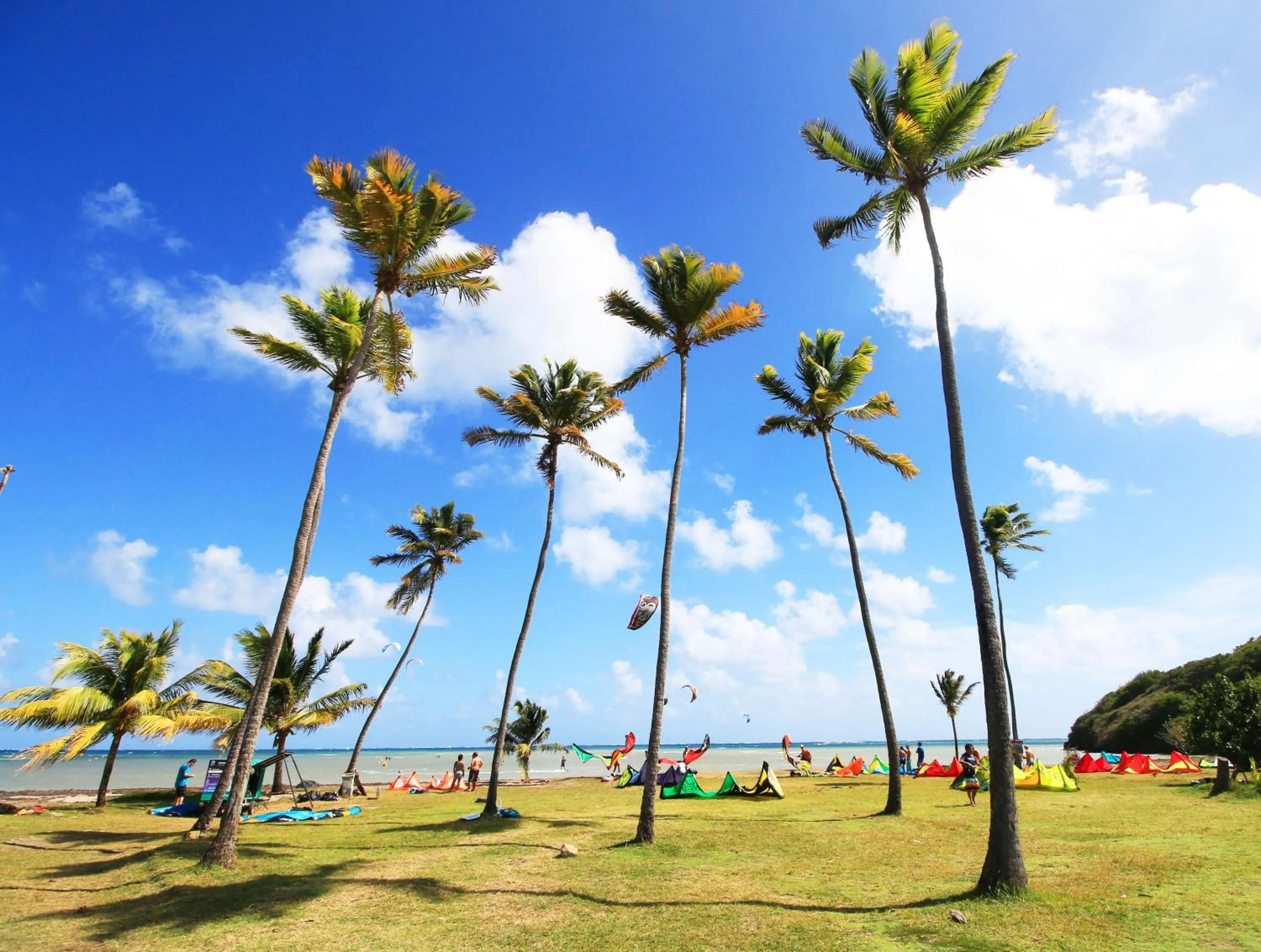 Garden in Le Village de la Pointe
