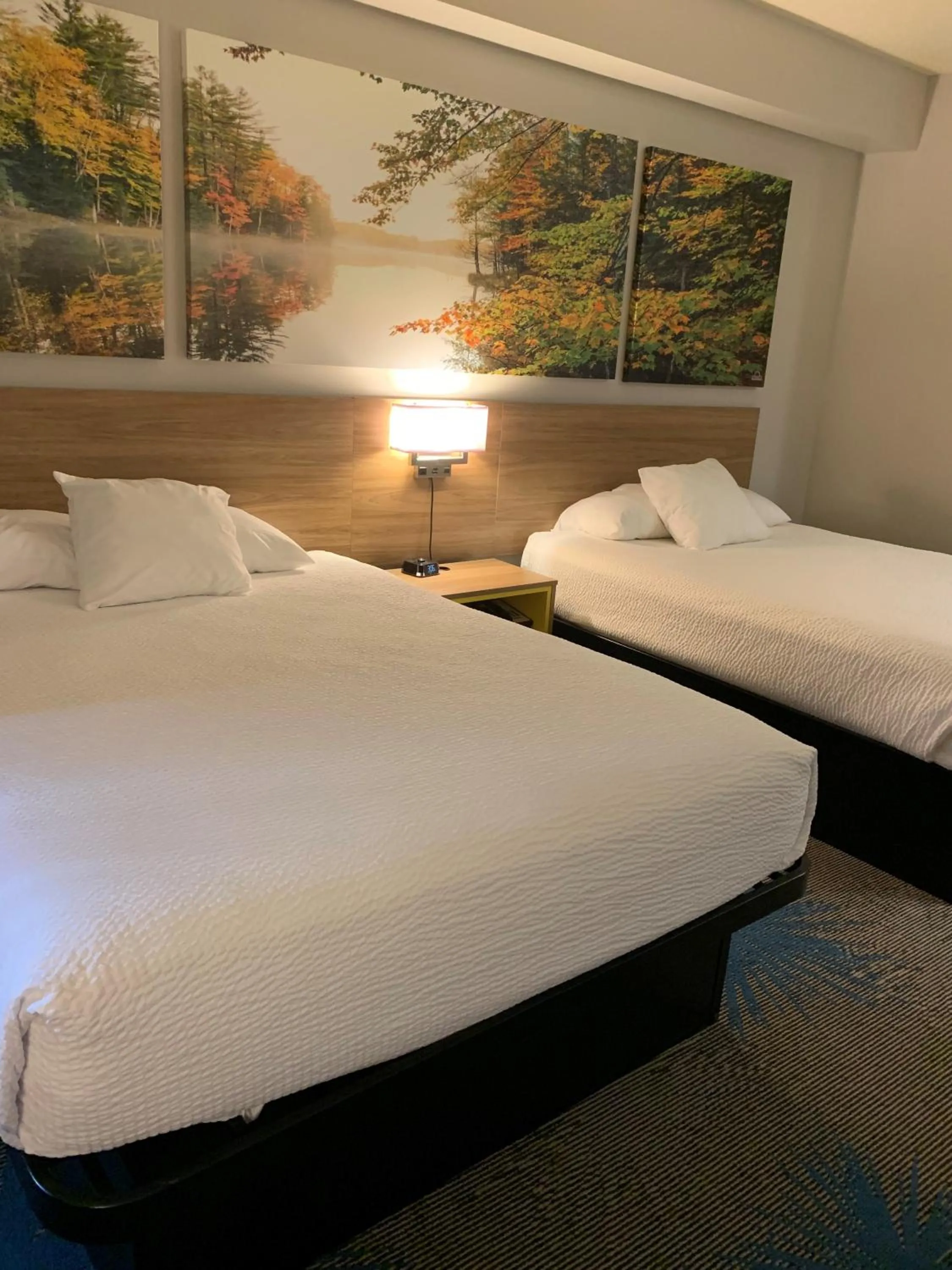 Bedroom, Bed in Days Inn by Wyndham Carroll