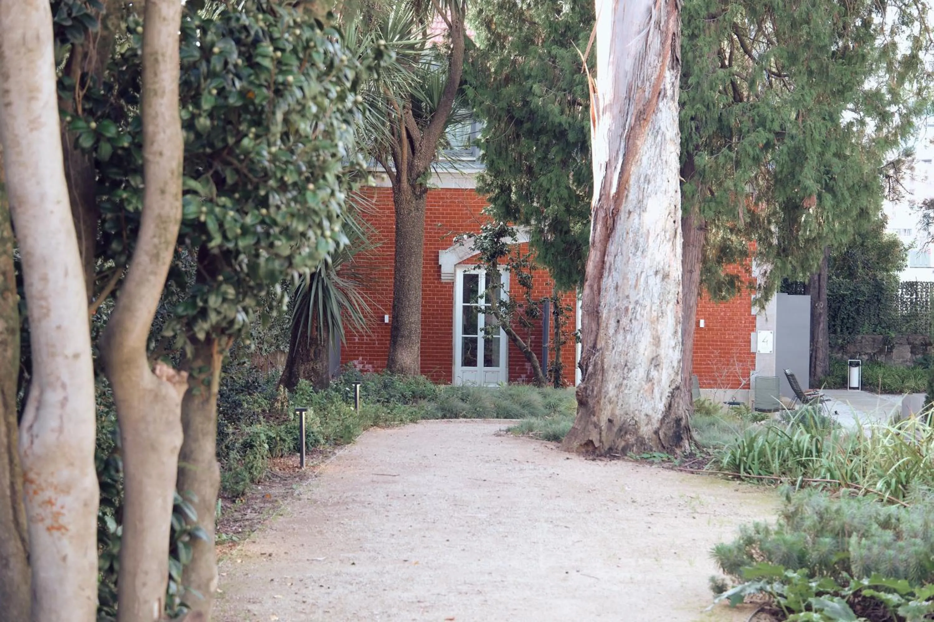 Garden in One Shot Palácio Cedofeita