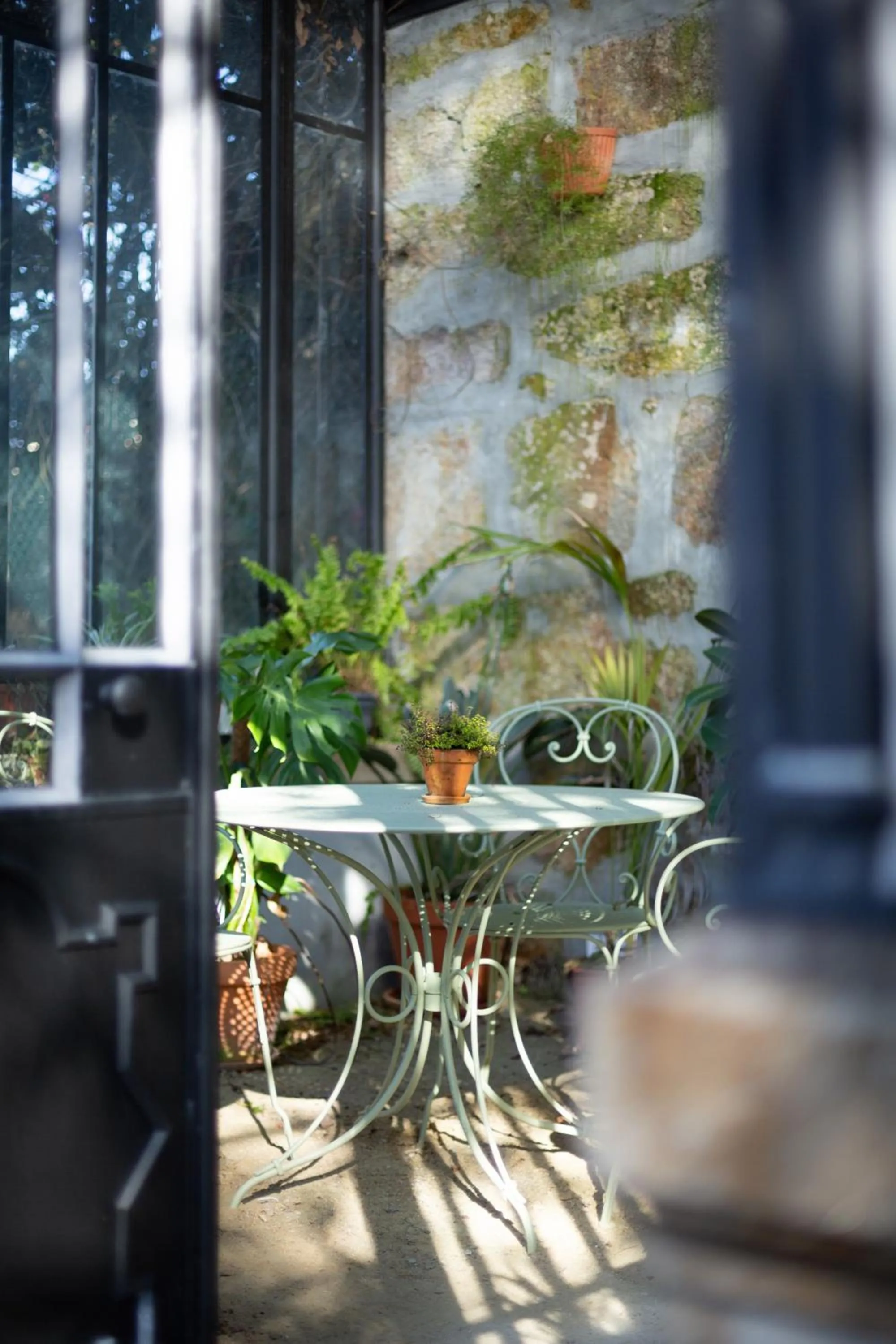 Garden in One Shot Palácio Cedofeita